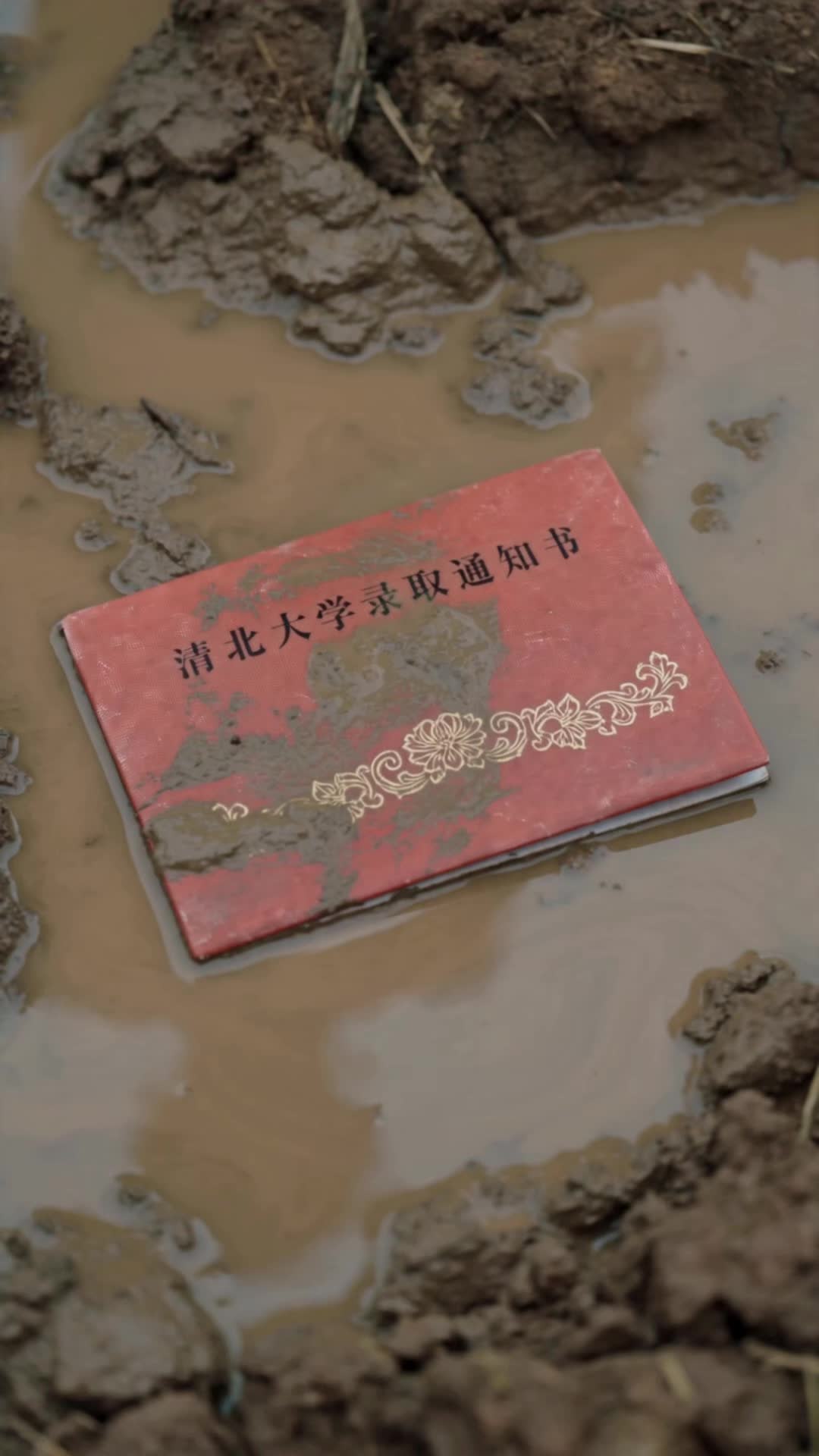 一头牛,一本录取通知书 第2集