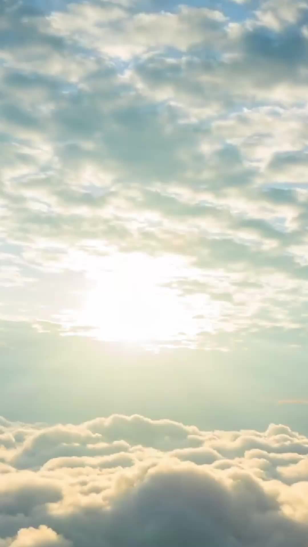 愿红柳 第9集