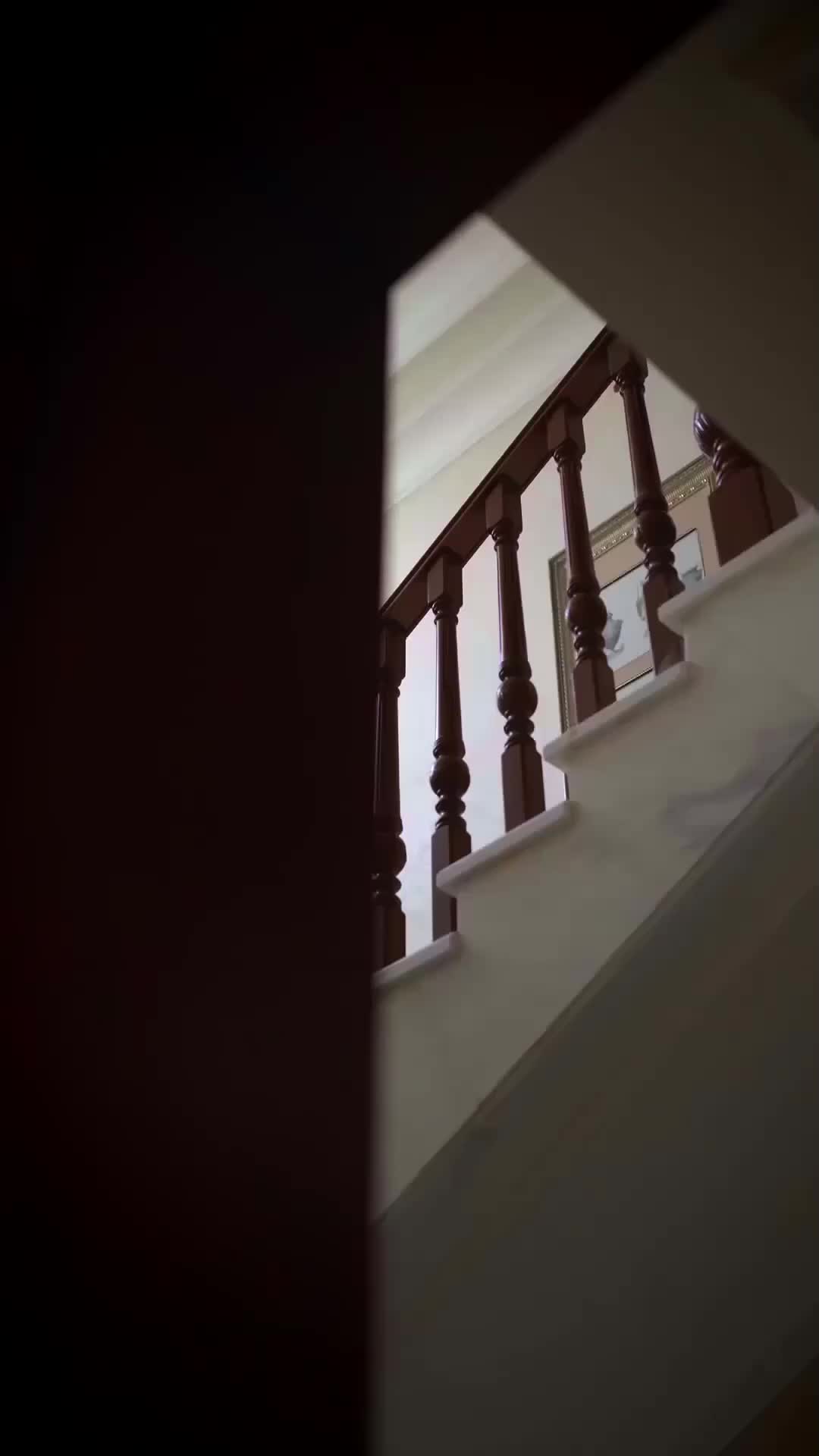 The Little Mystic Who Saved the Day Episode 9