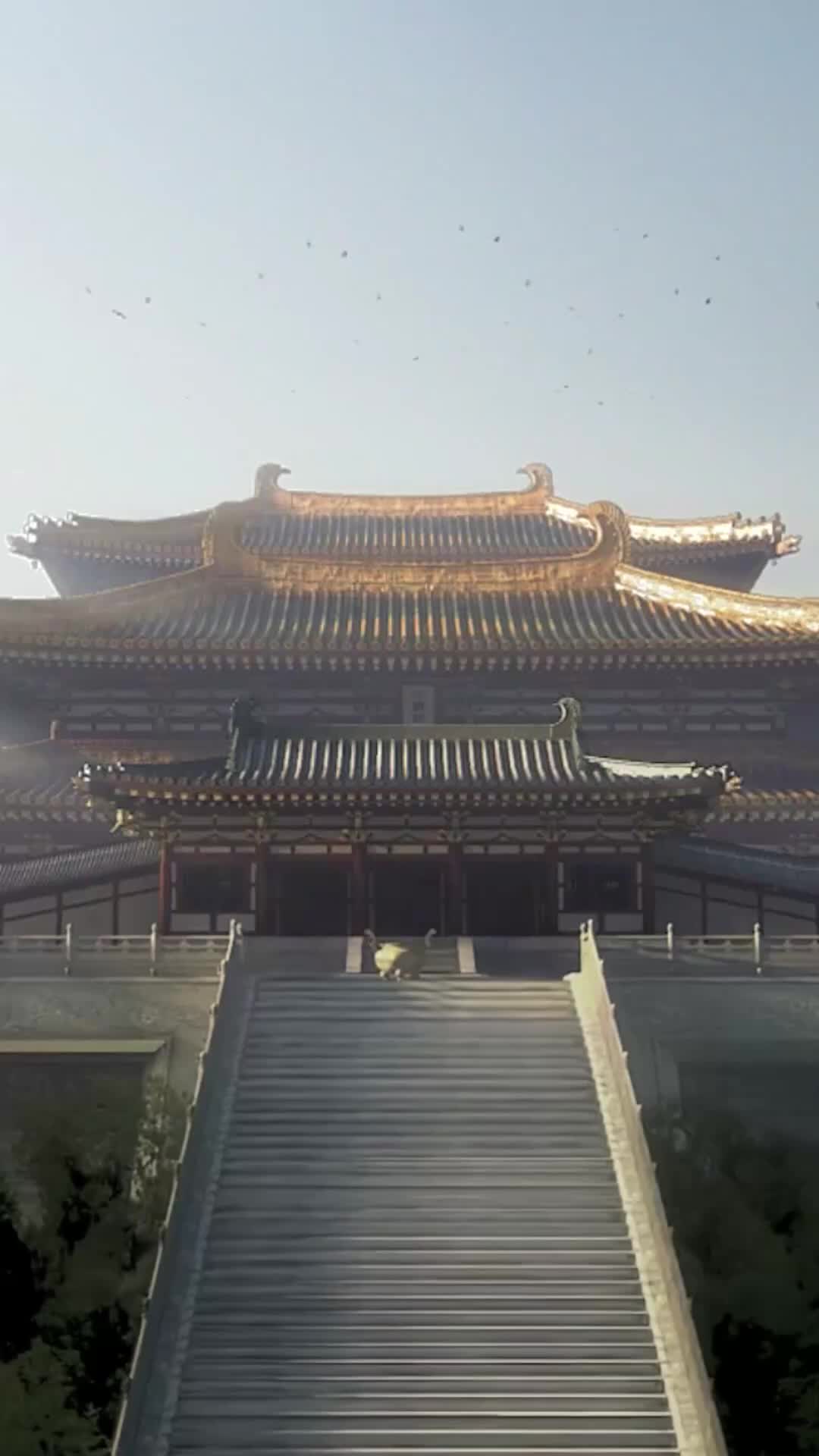 十年春秋，換一紙荒唐 第1集