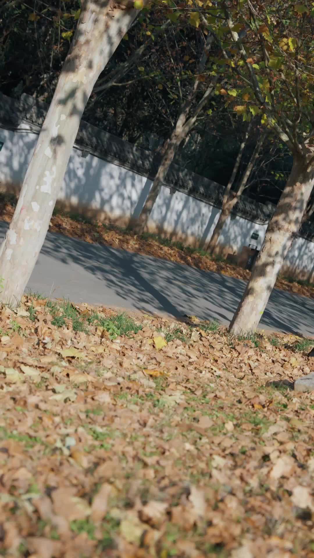 Ep 30
