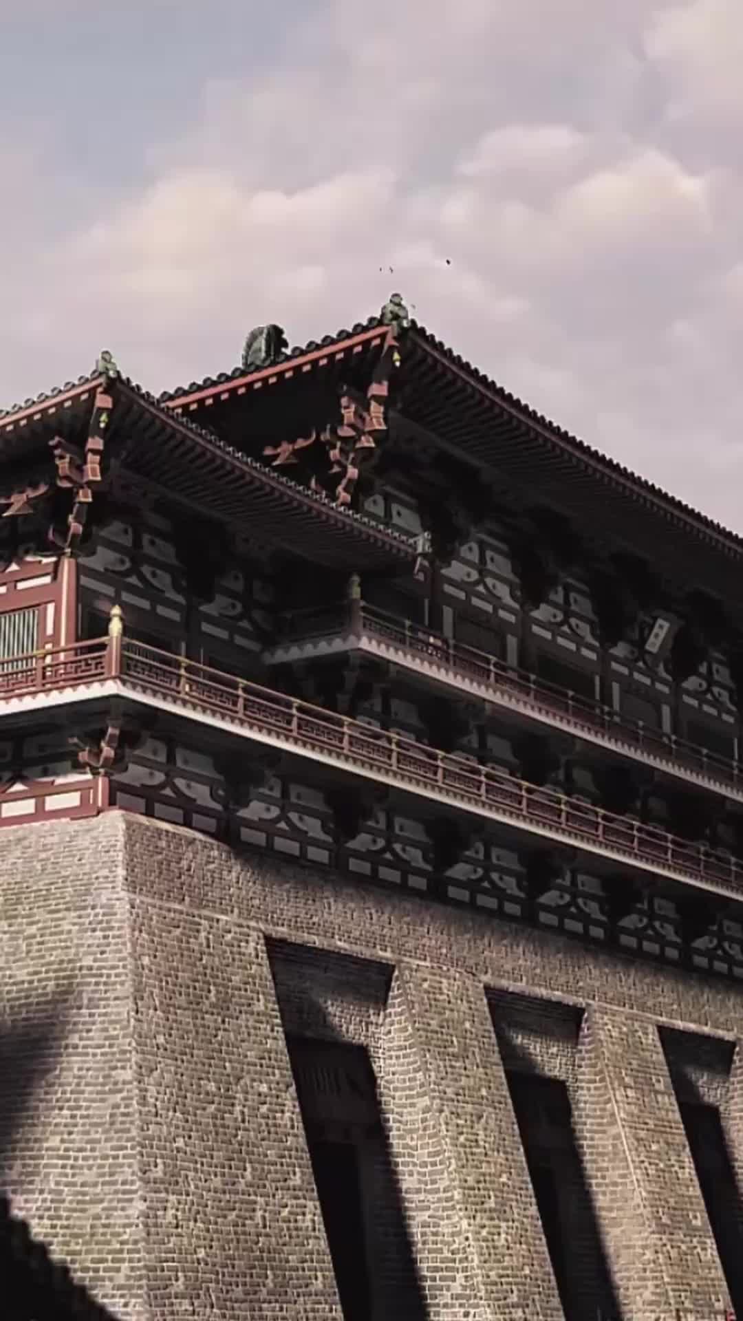 梧桐引 第2集