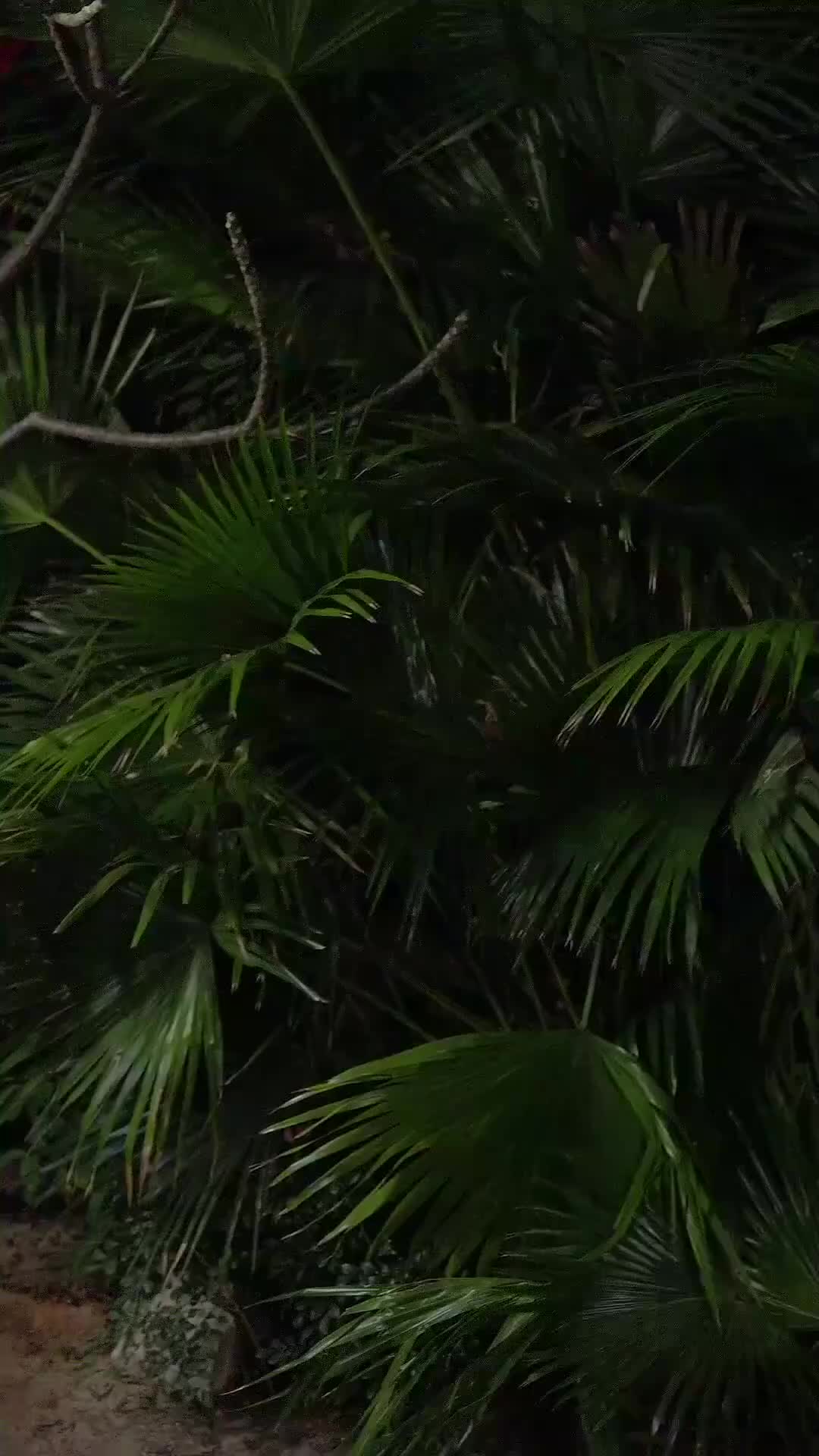 Ep 35