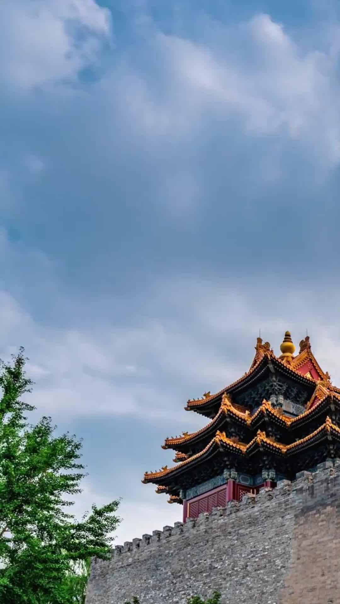 阳谋 第10集