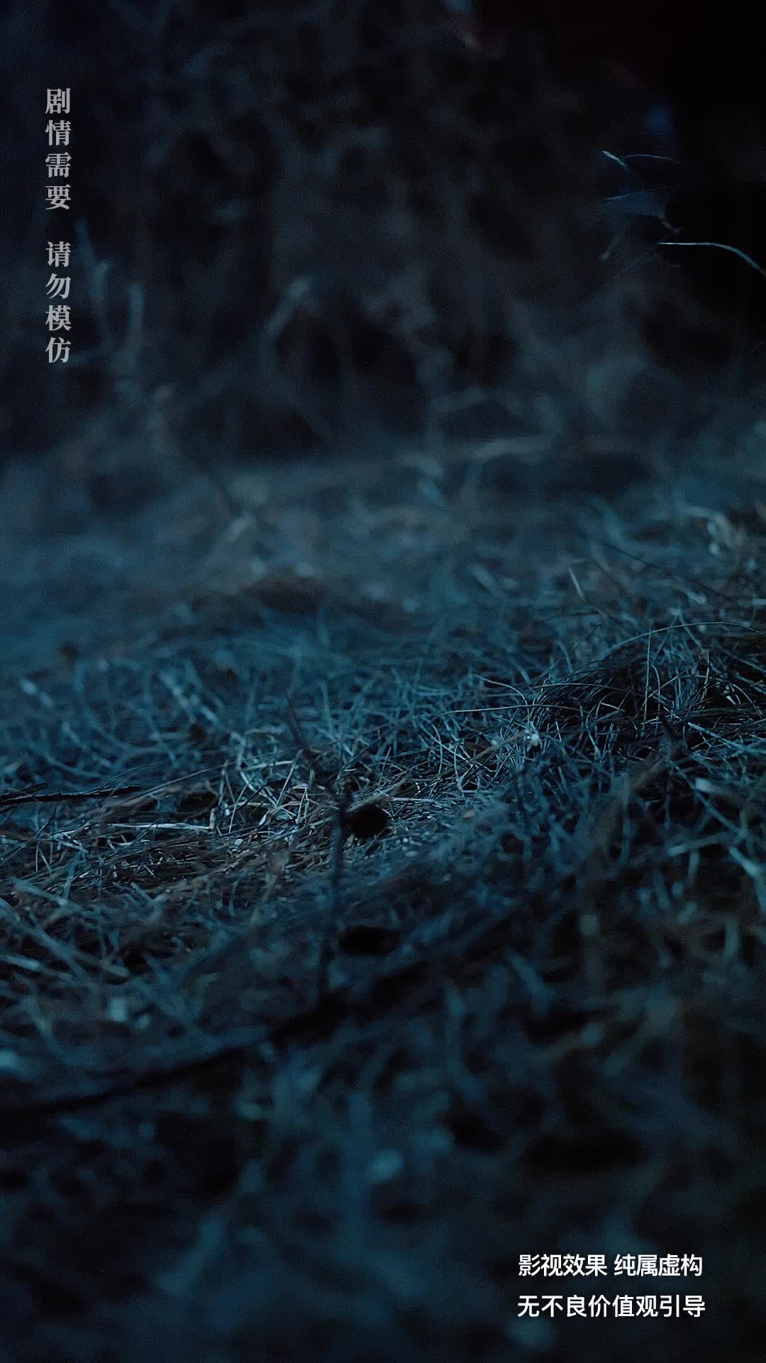 荒野女王 第9集