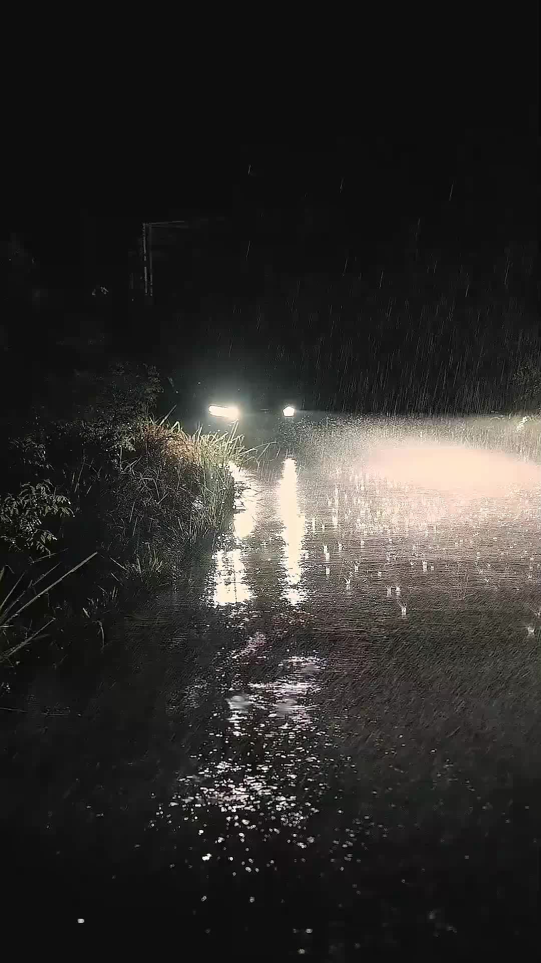 Cinta Tanpa Syarat Sang Ayah (Sulih Suara) - Episode 1 - Episode 1