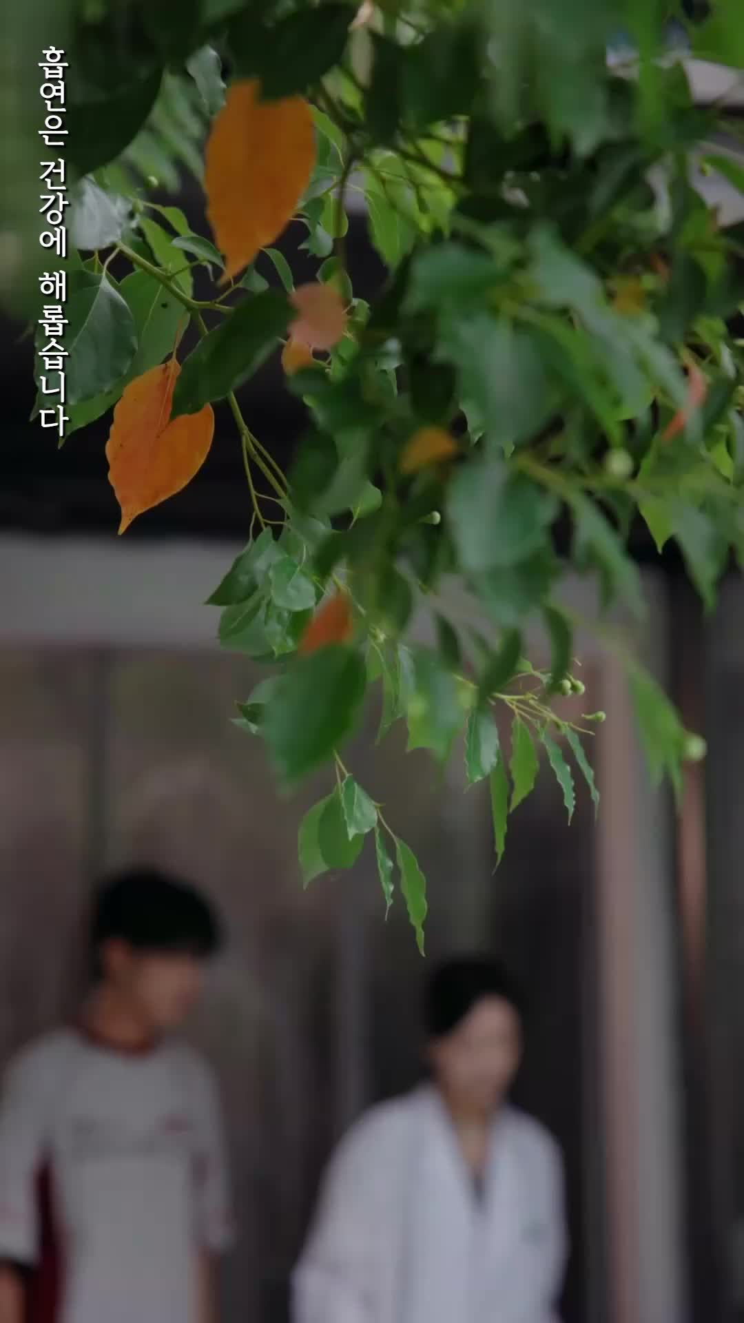 상속자 길들이기 제5회