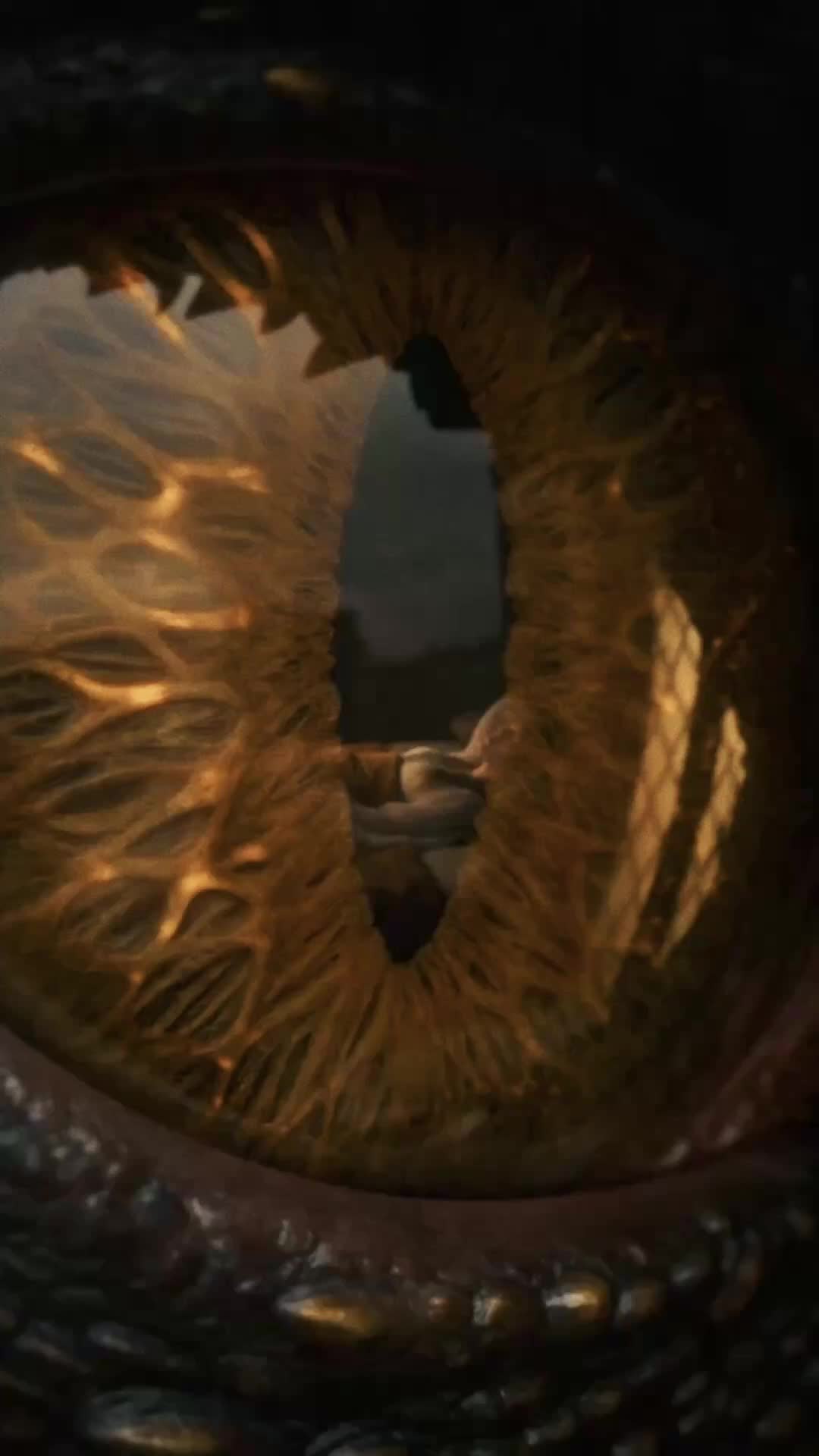 A Noiva Sequestrada do Rei Dragão 6Episódio