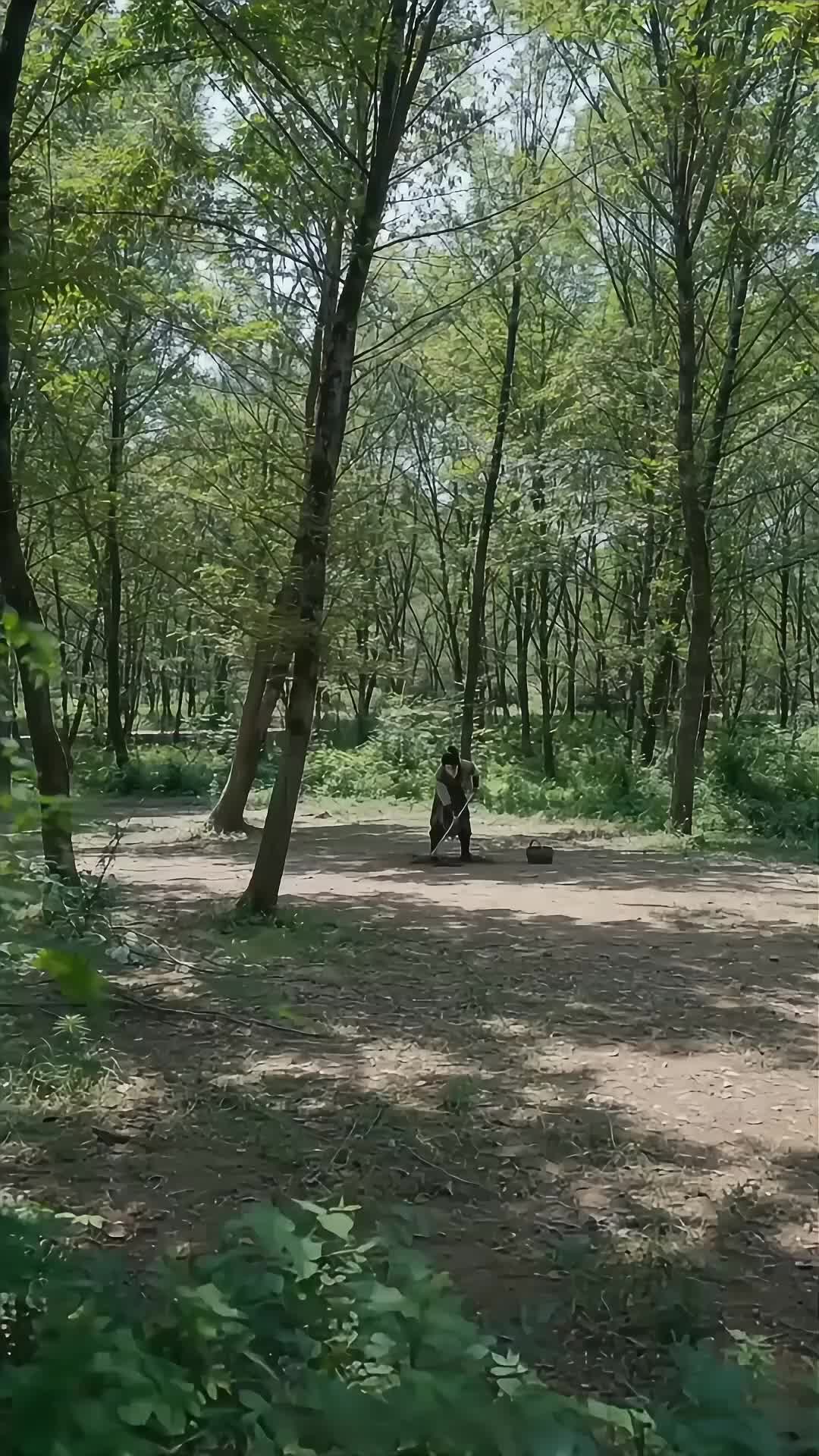 我在寒门当纨绔 第3集
