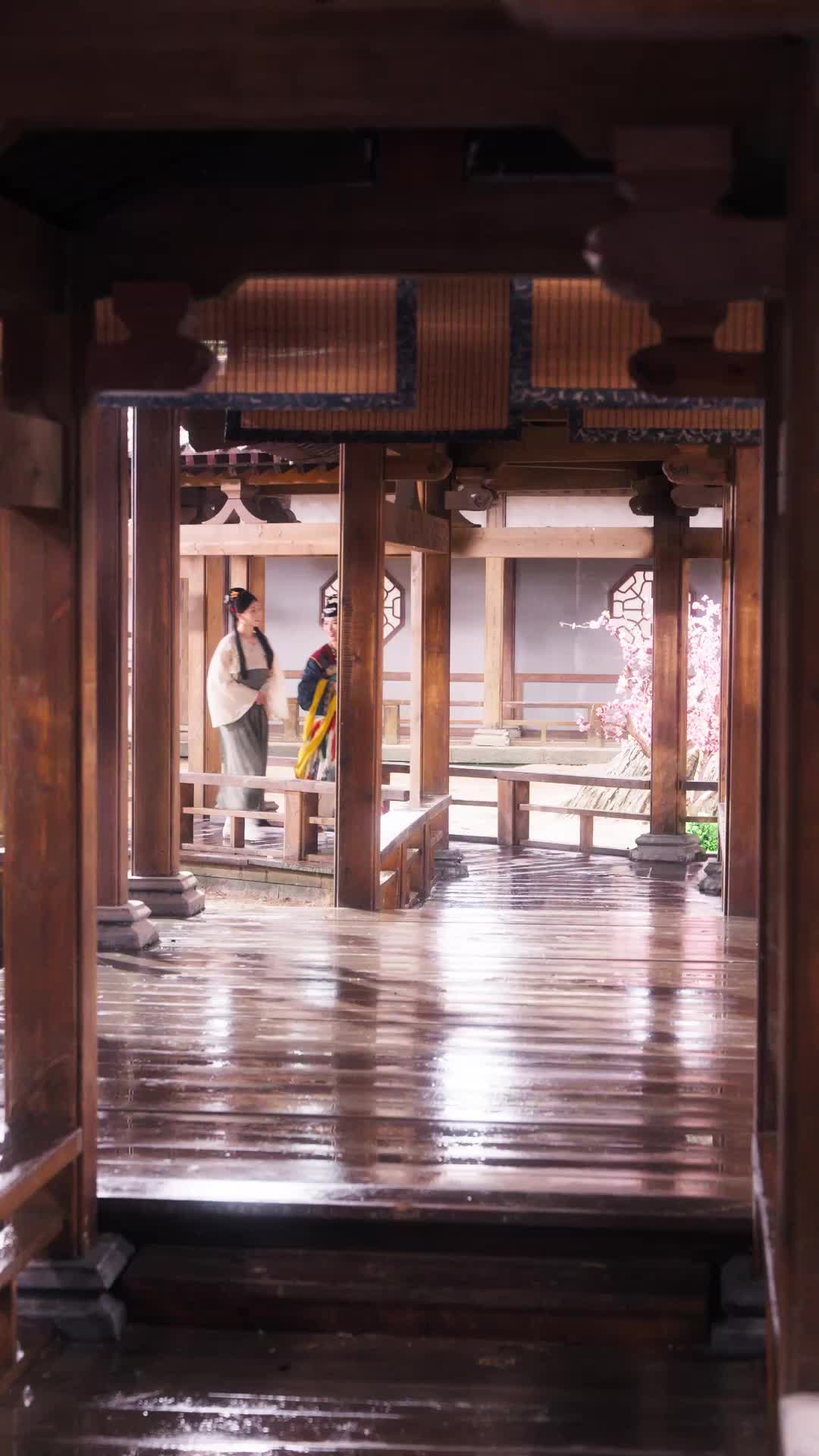 绿上枝头 第11集