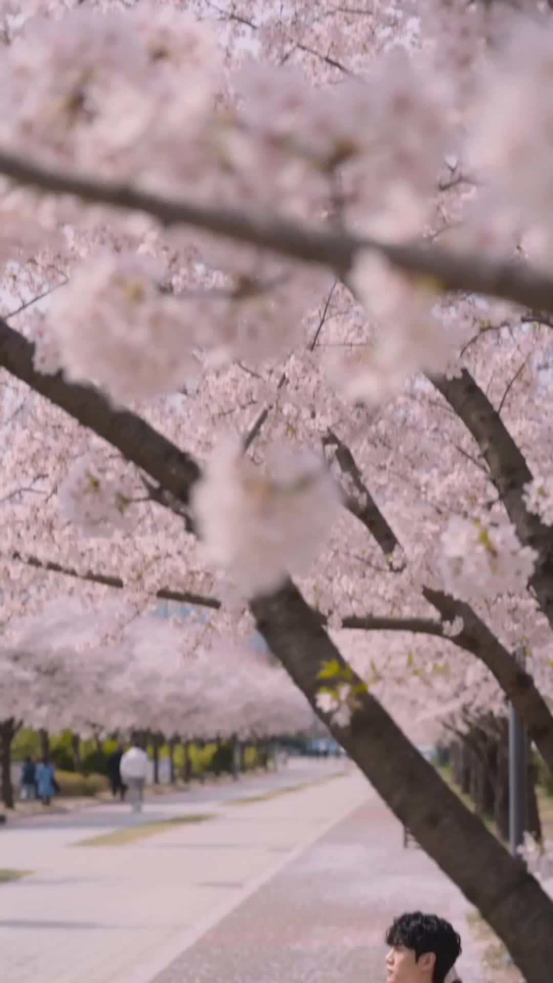 슈퍼 시스템: 내 손안의 그녀들 제1회