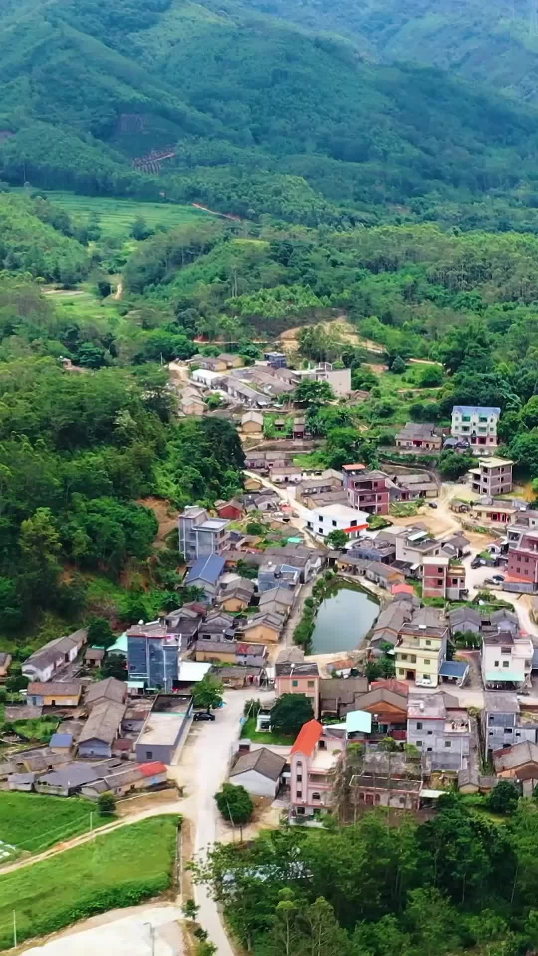 誰驚慈母心 第1集