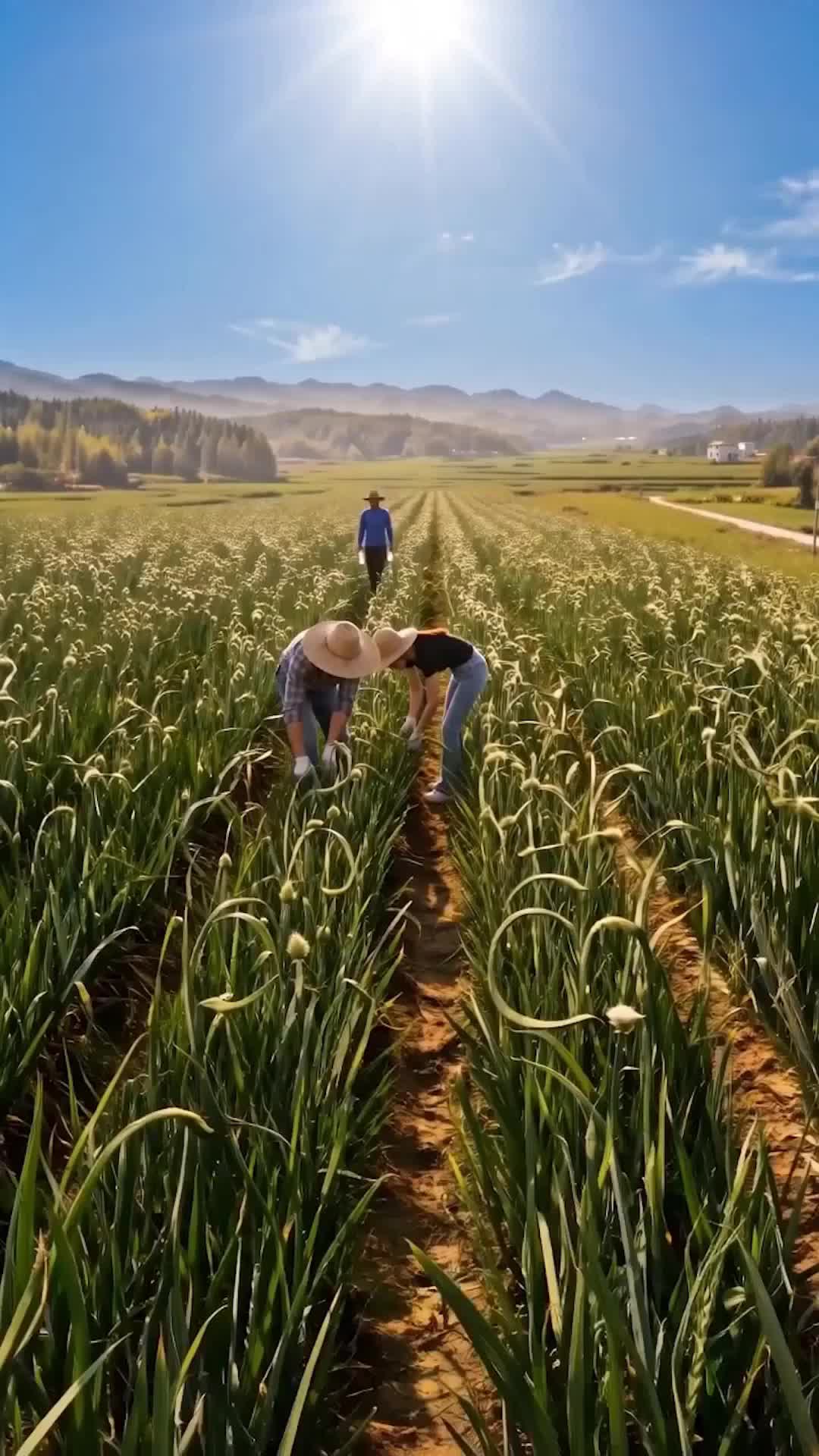 百畝蒜苔見人心  第9集