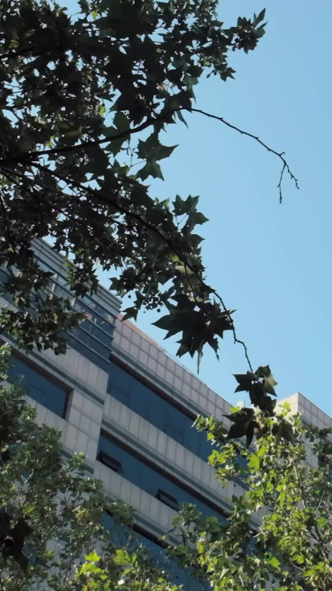 出道七年當明星 第10集