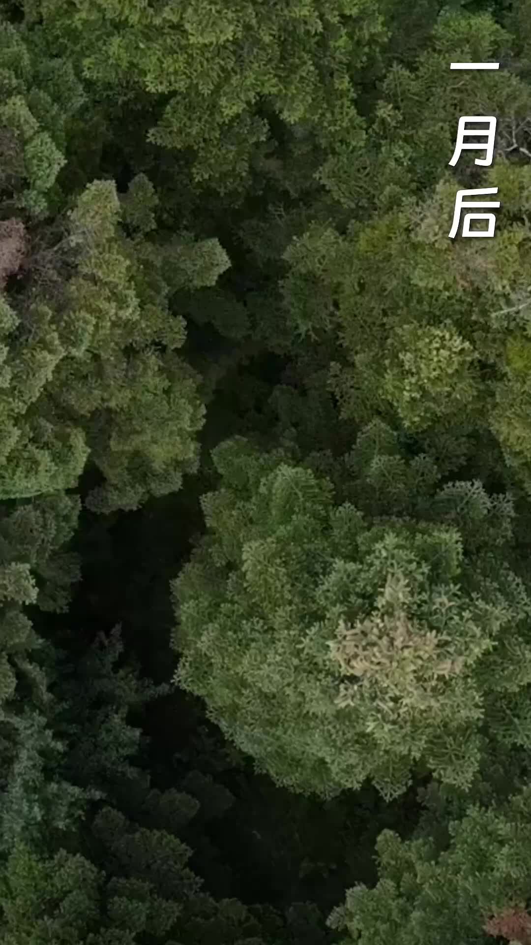 Ep 59