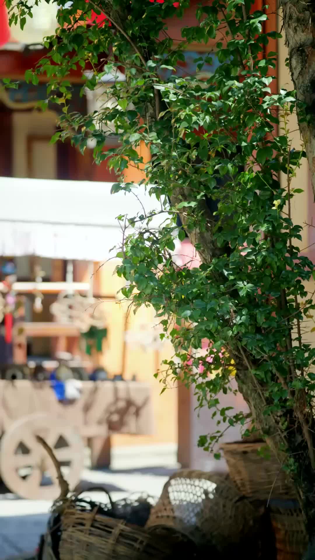 Putri yang Tak Akan Tunduk - Episode 72 - Episode 72