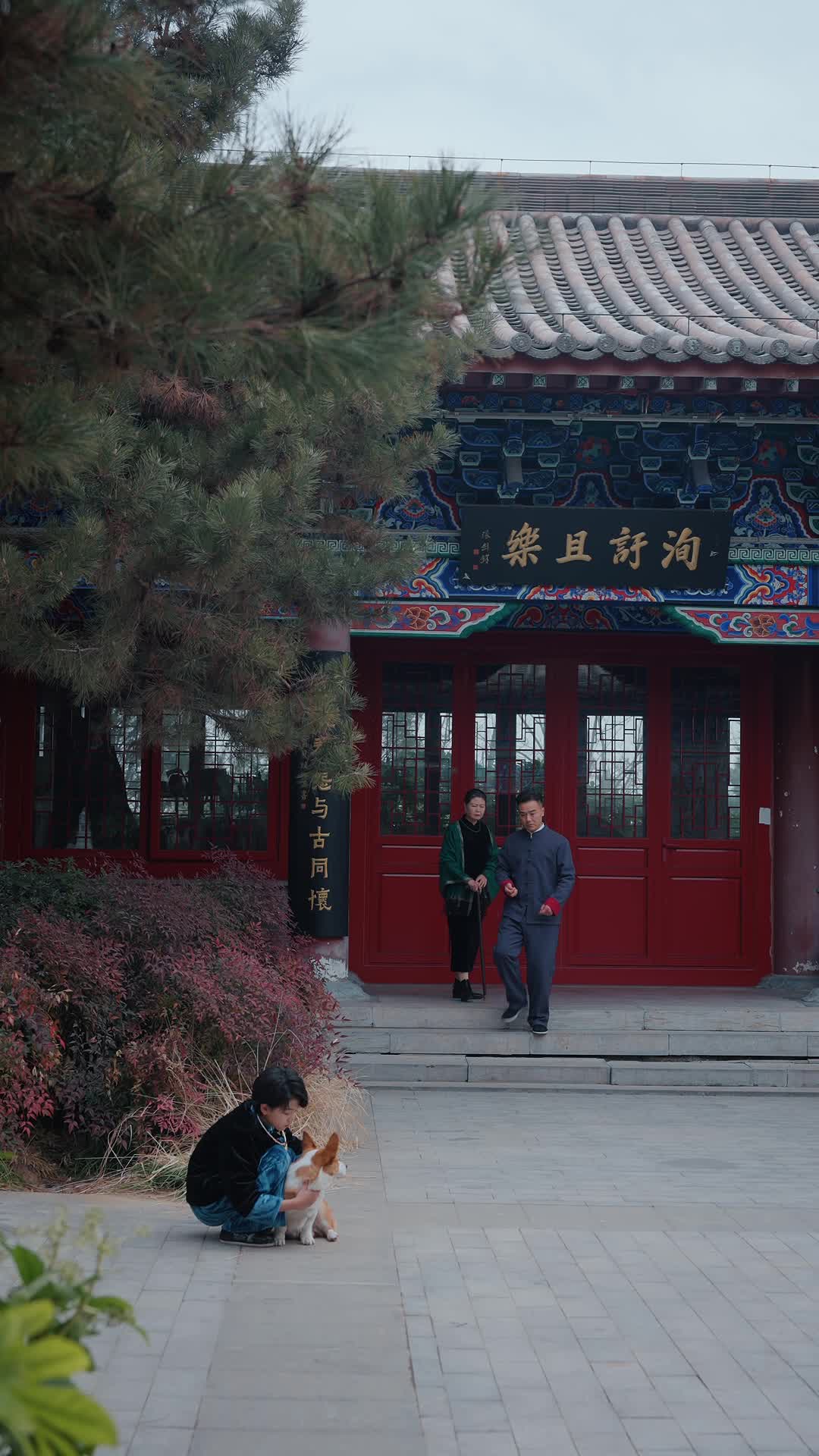 掌运女 第11集
