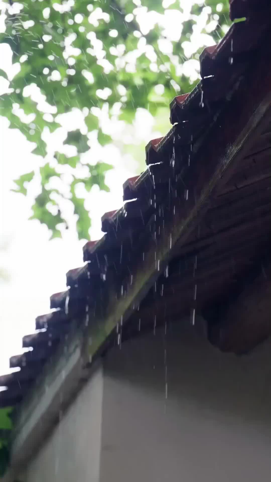 Cinta Dihapus Waktu - Episode 20 - Episode 20