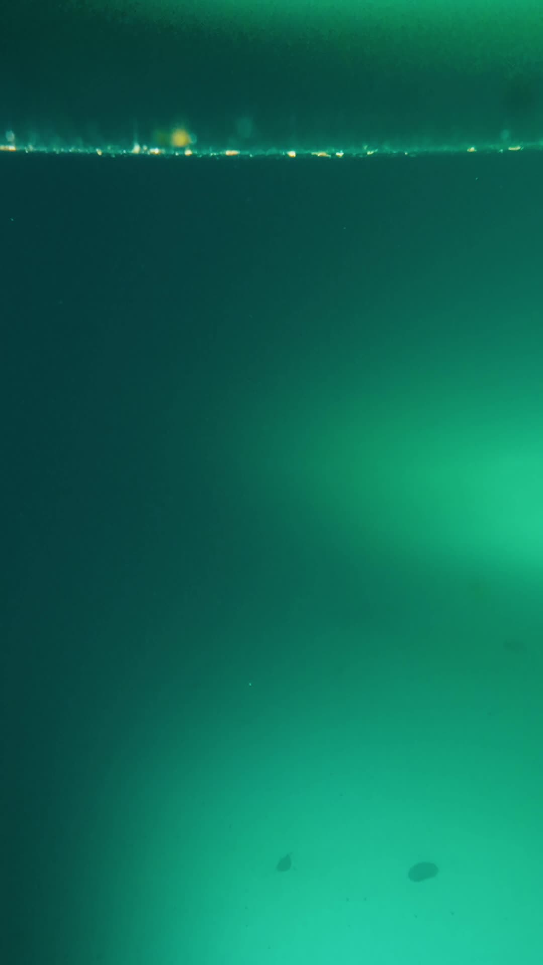不借东风自扶摇 第1集