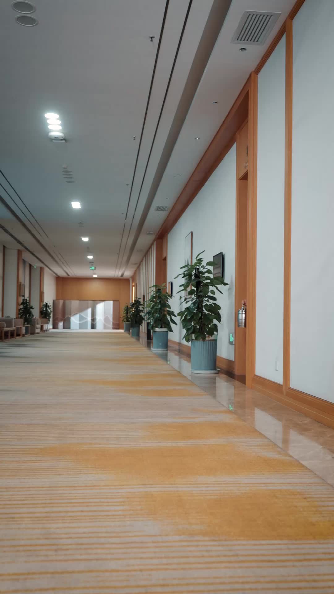 年少不懂母爱深 第5集