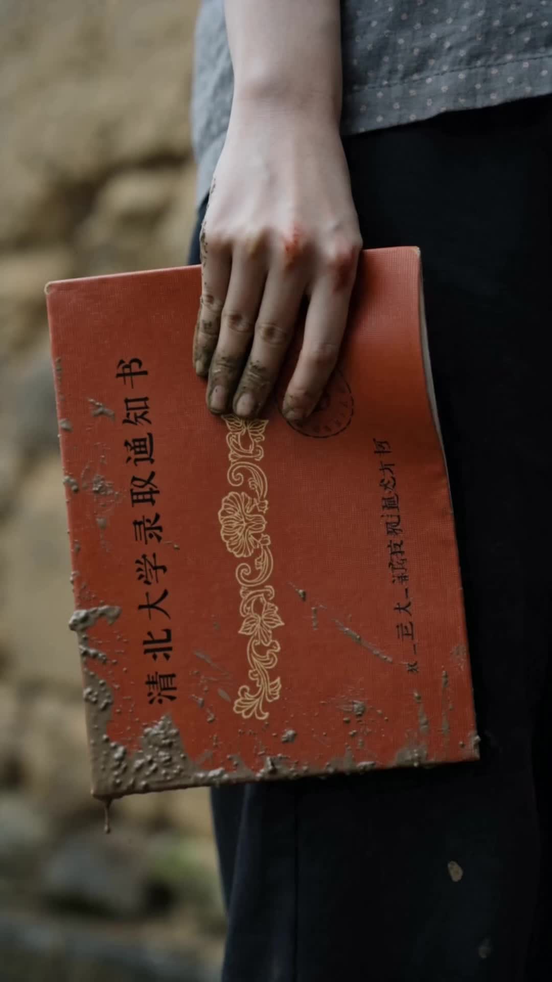 一頭牛,一本錄取通知書 第3集
