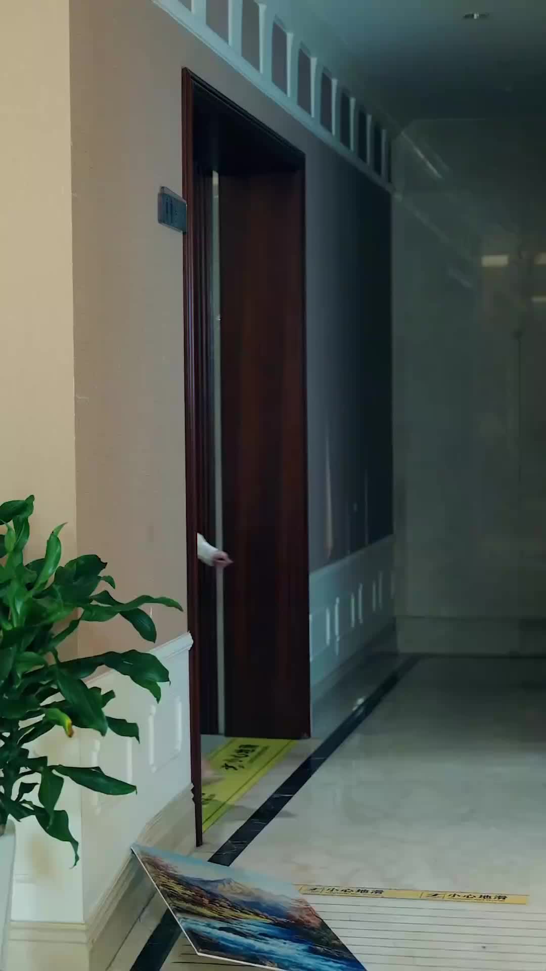 Ep 7