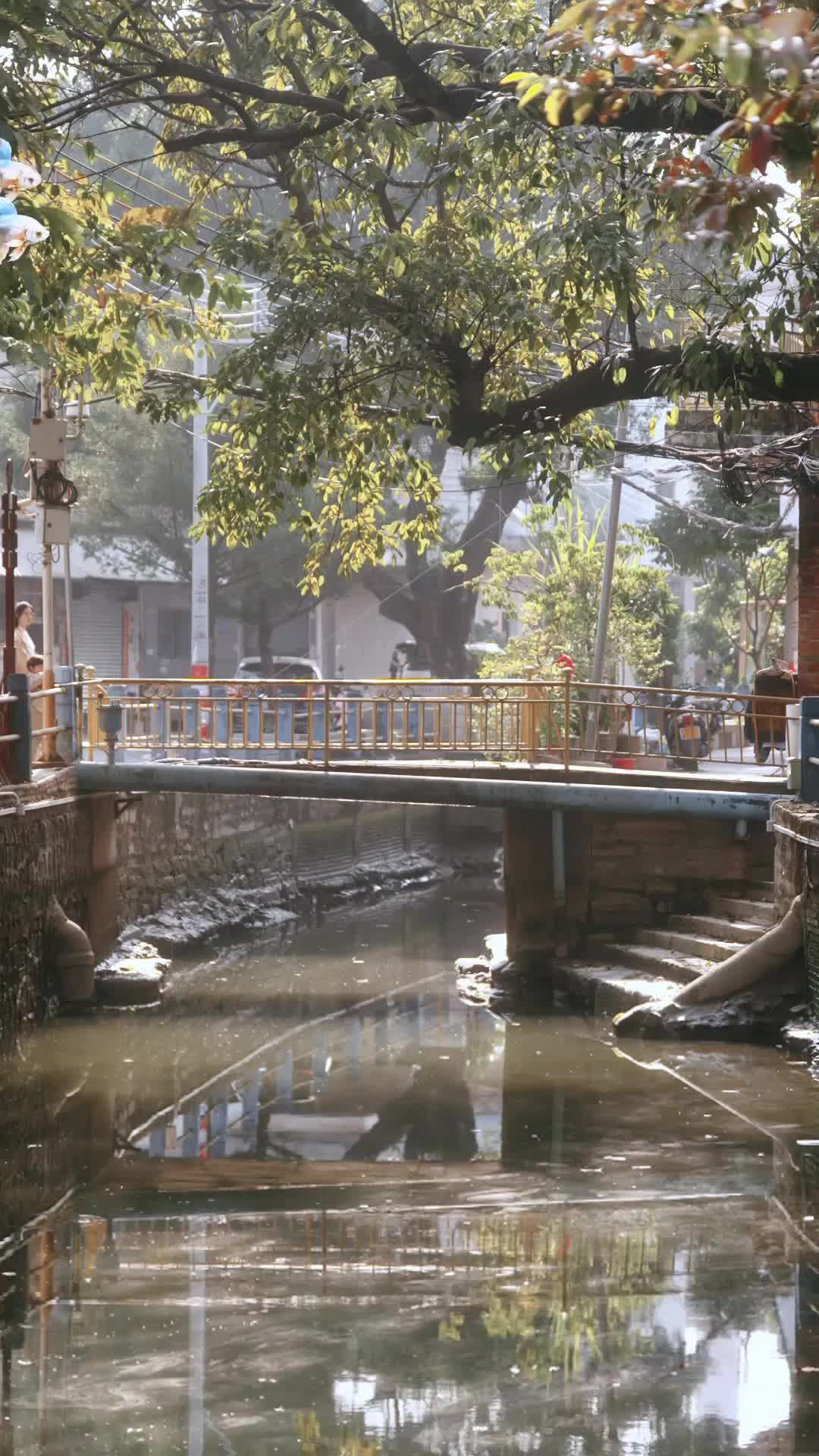 魚不歸海 第1集
