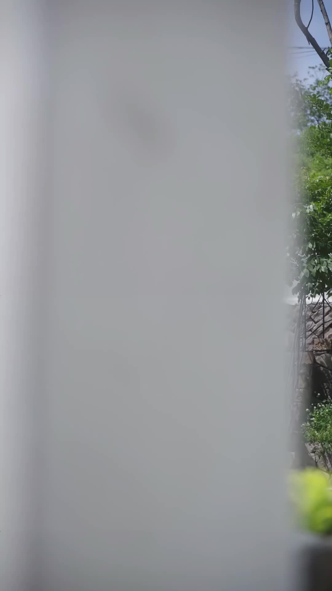 Menikahi Dosenku - Episode 49 - Episode 49