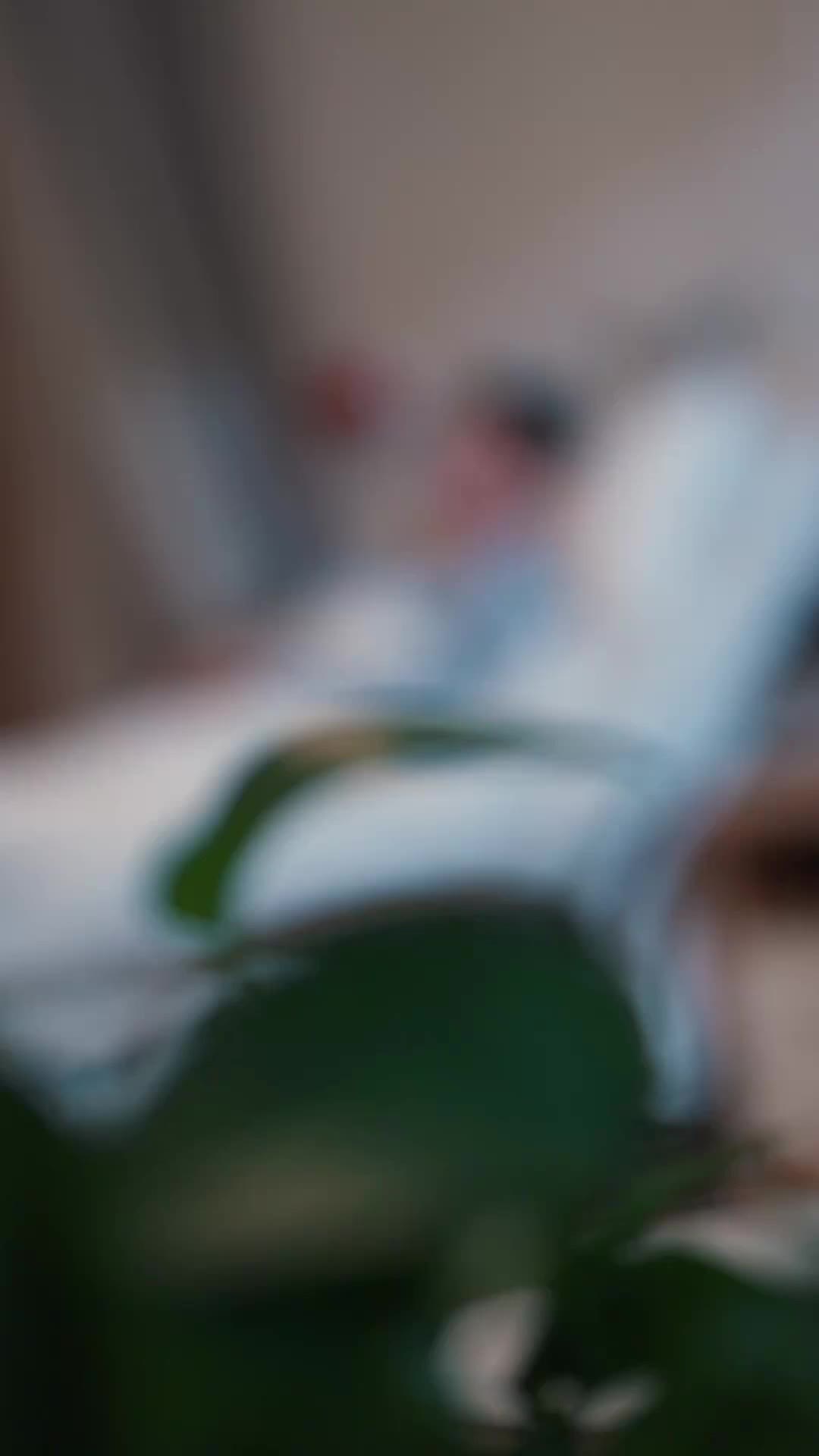 Ep 1