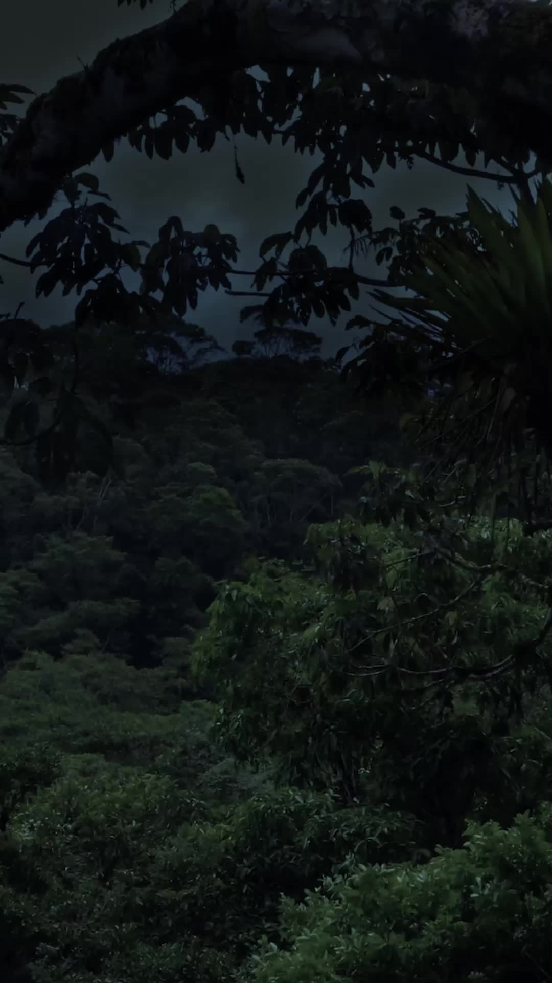 南瓷北城 第1集