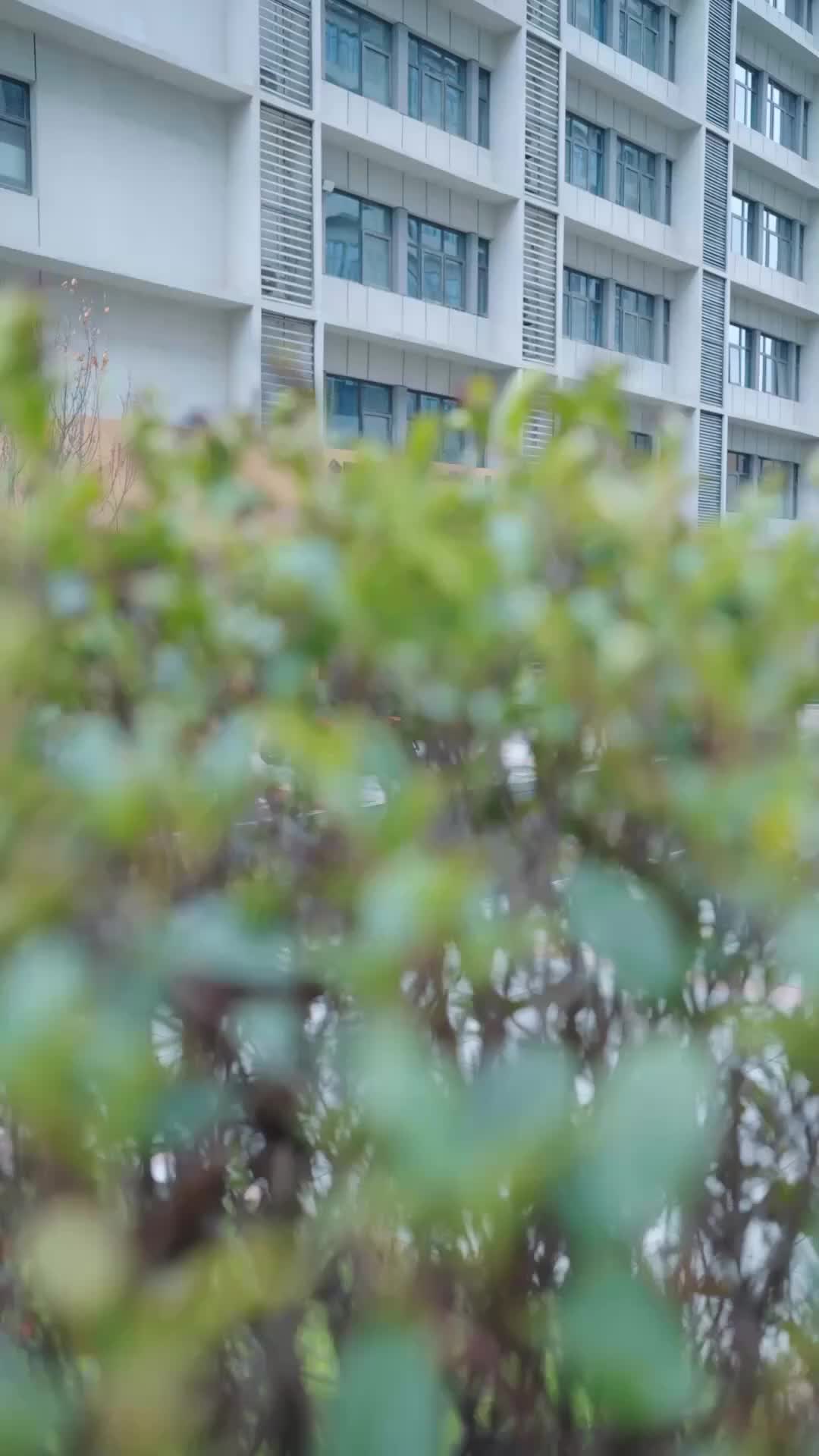 Cinta Ditakdirkan dari Sekarang - Episode 42 - Episode 42