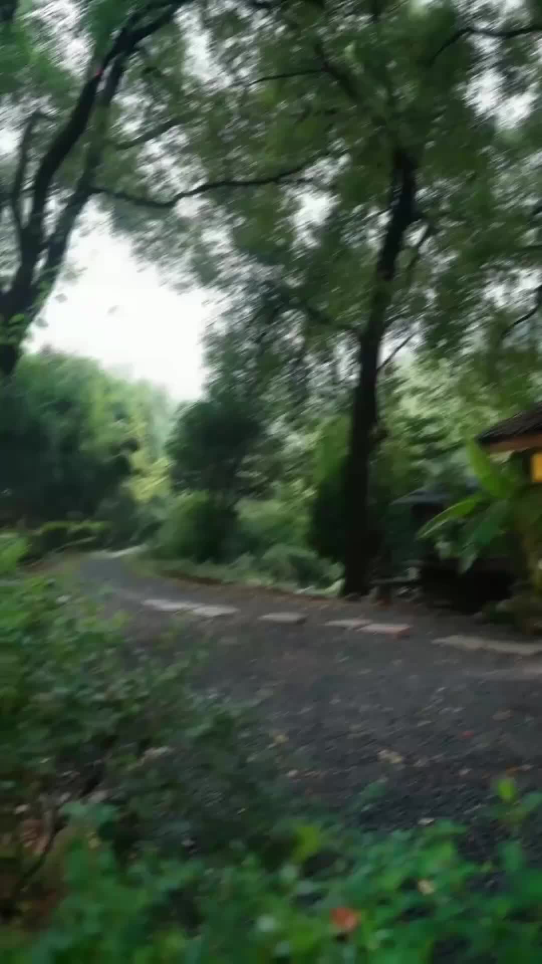 Ep 2