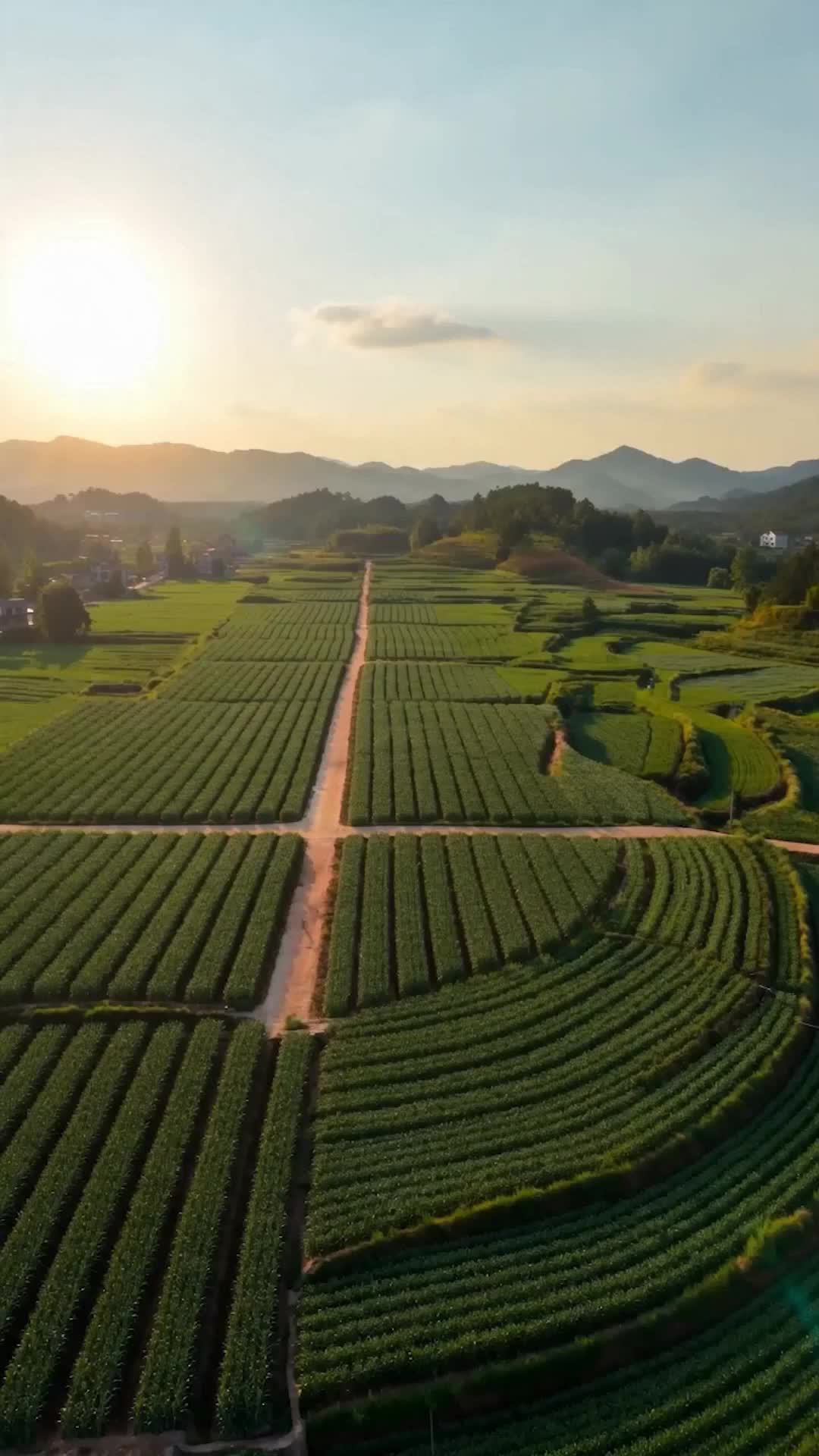 The Harvest I Built on Betrayal Episode 1