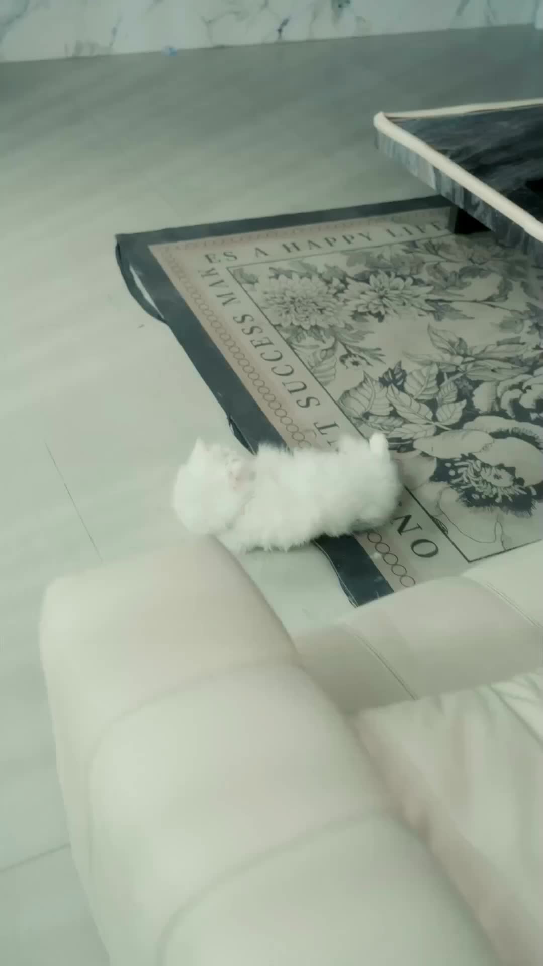 Penyesalan Terlambat Tidak Membuahkan Hasil - Episode 19 - Episode 19