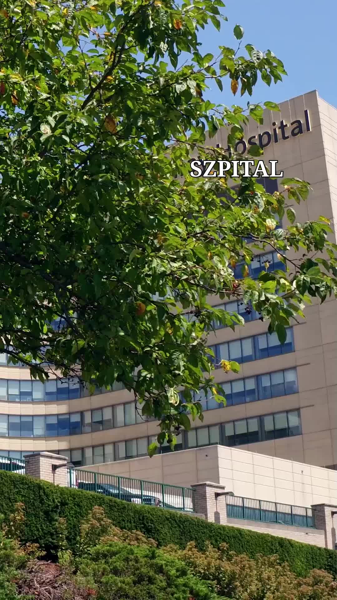 Jego miłość była kłamstwem (Dubbing) Odcinek 5