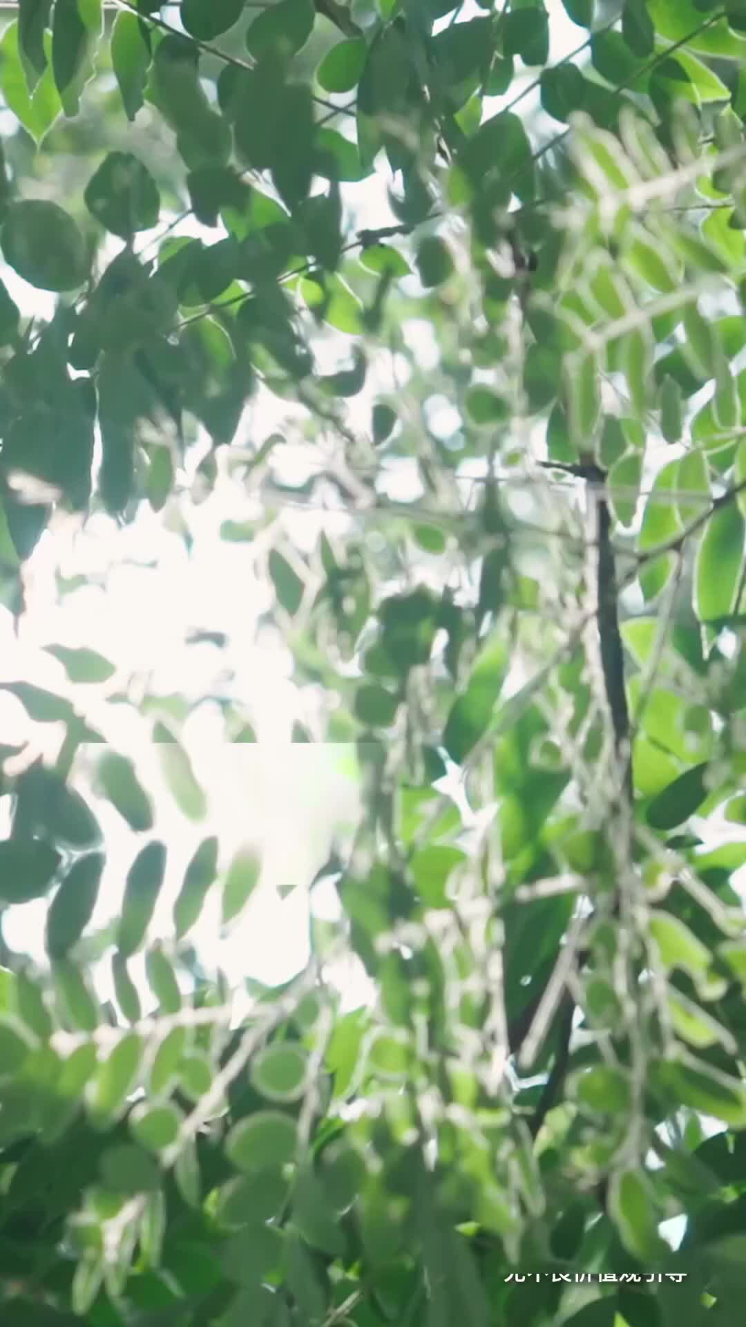 Anak Perempuan Penyayang Ibu Episode 4
