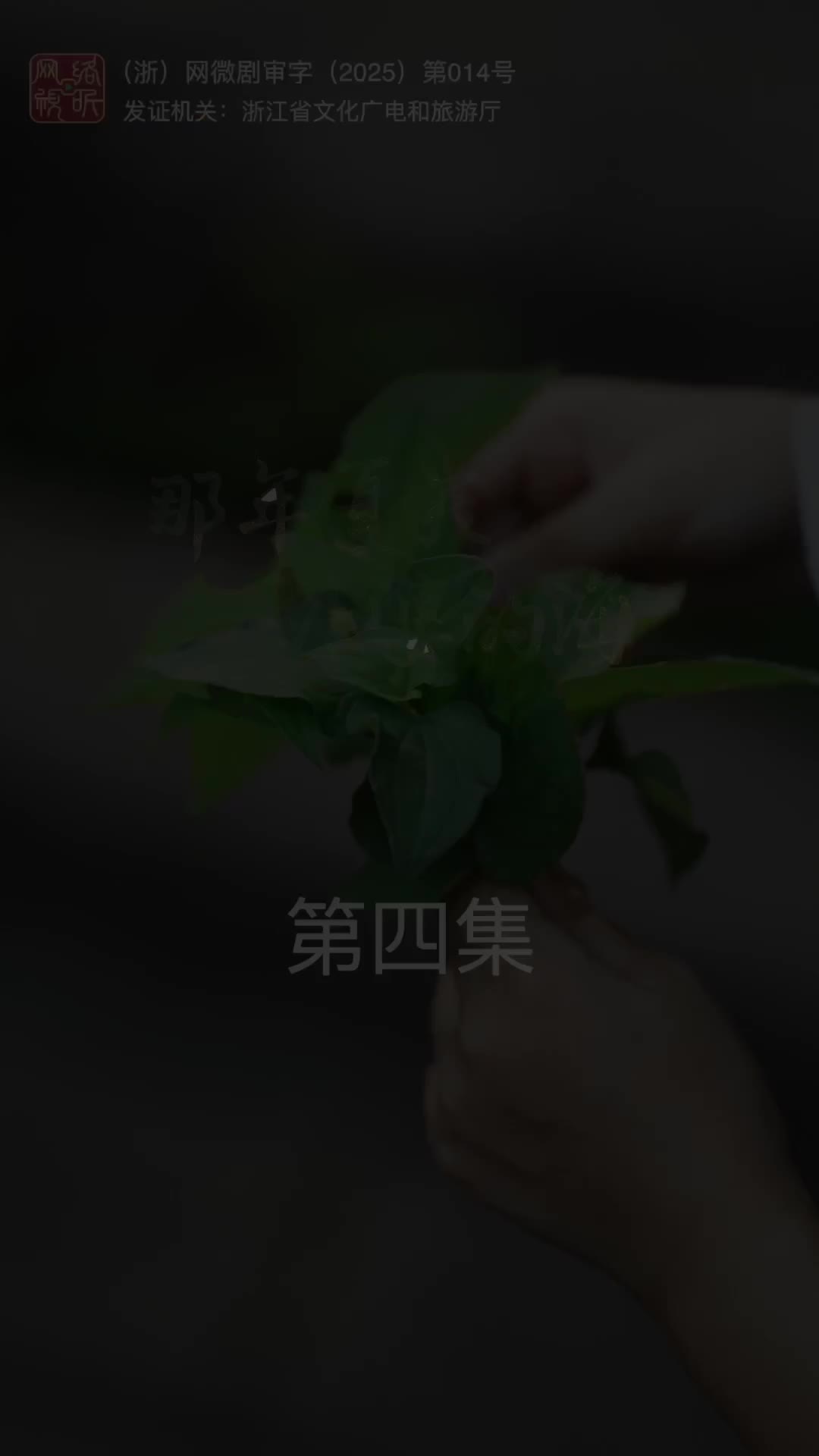 那年夏天外婆的海 第4集