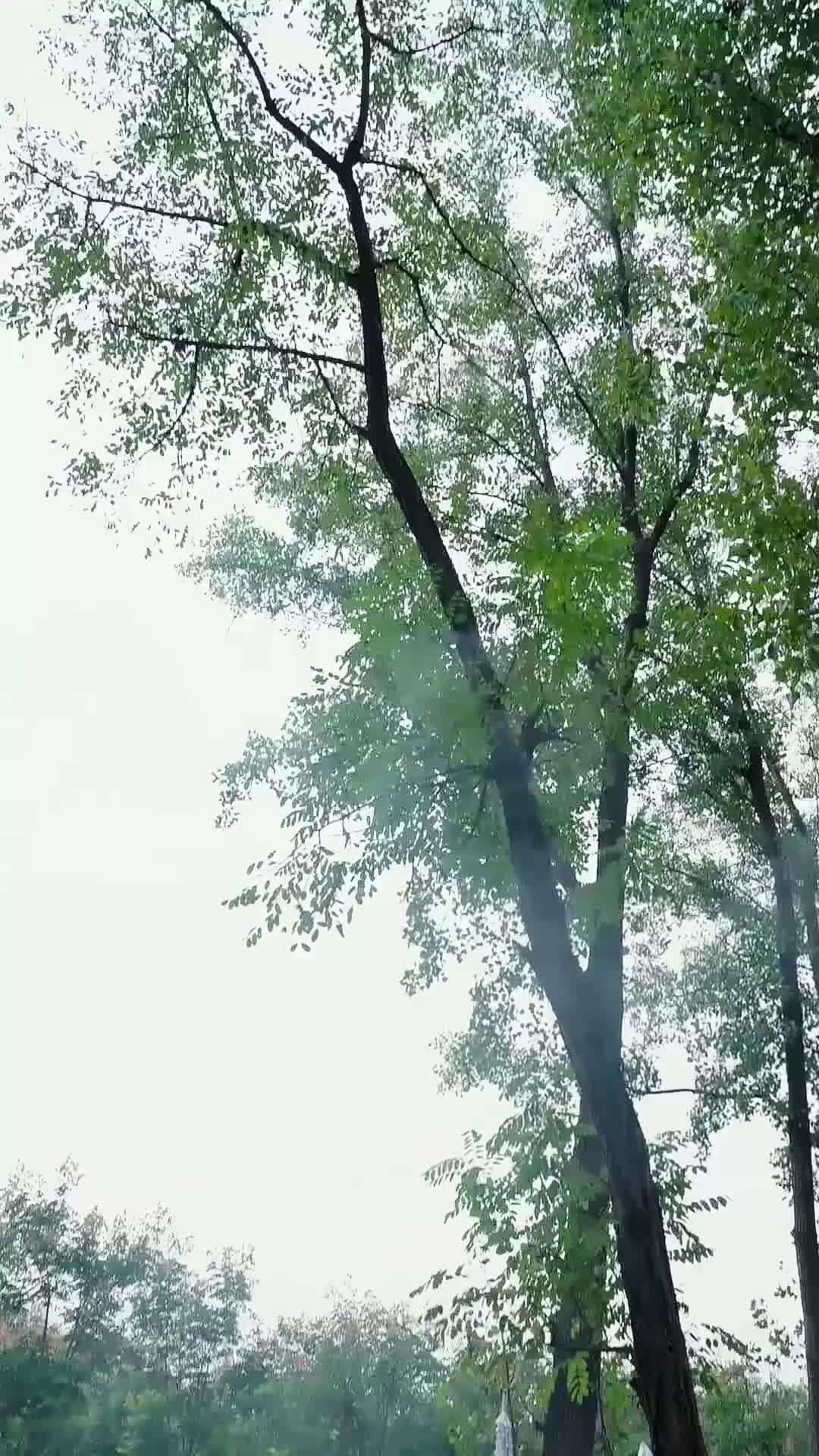 Ep 17