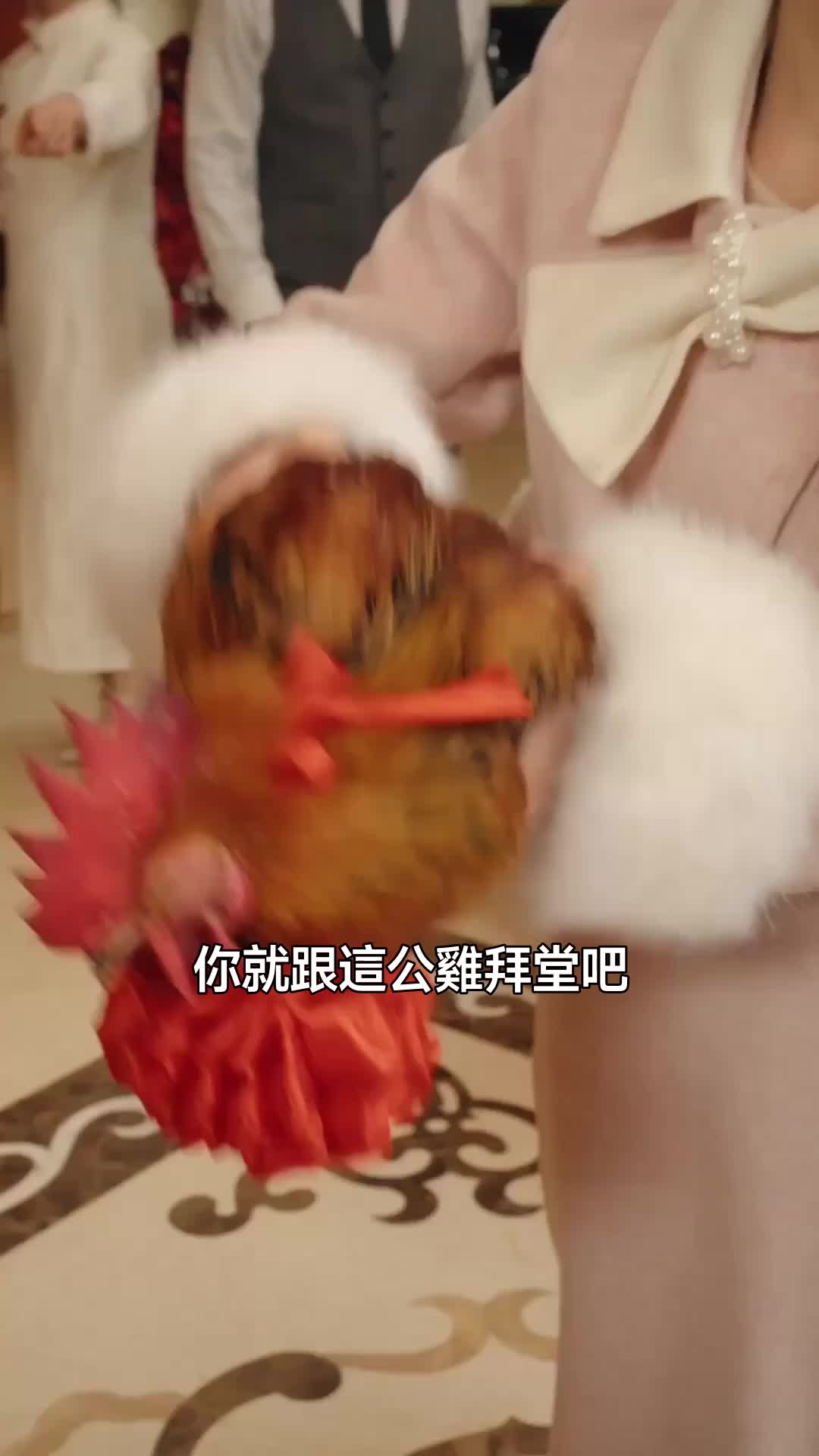 替嫁後，我是旁人惹不起的霍太太 第3集