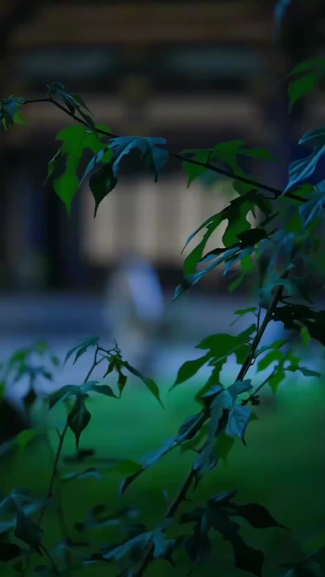 Ep 1