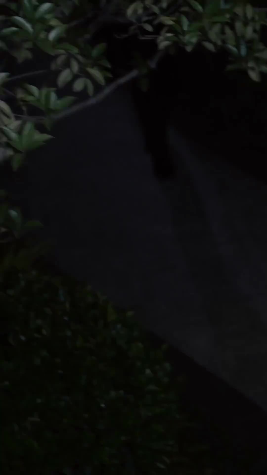 Ep 62