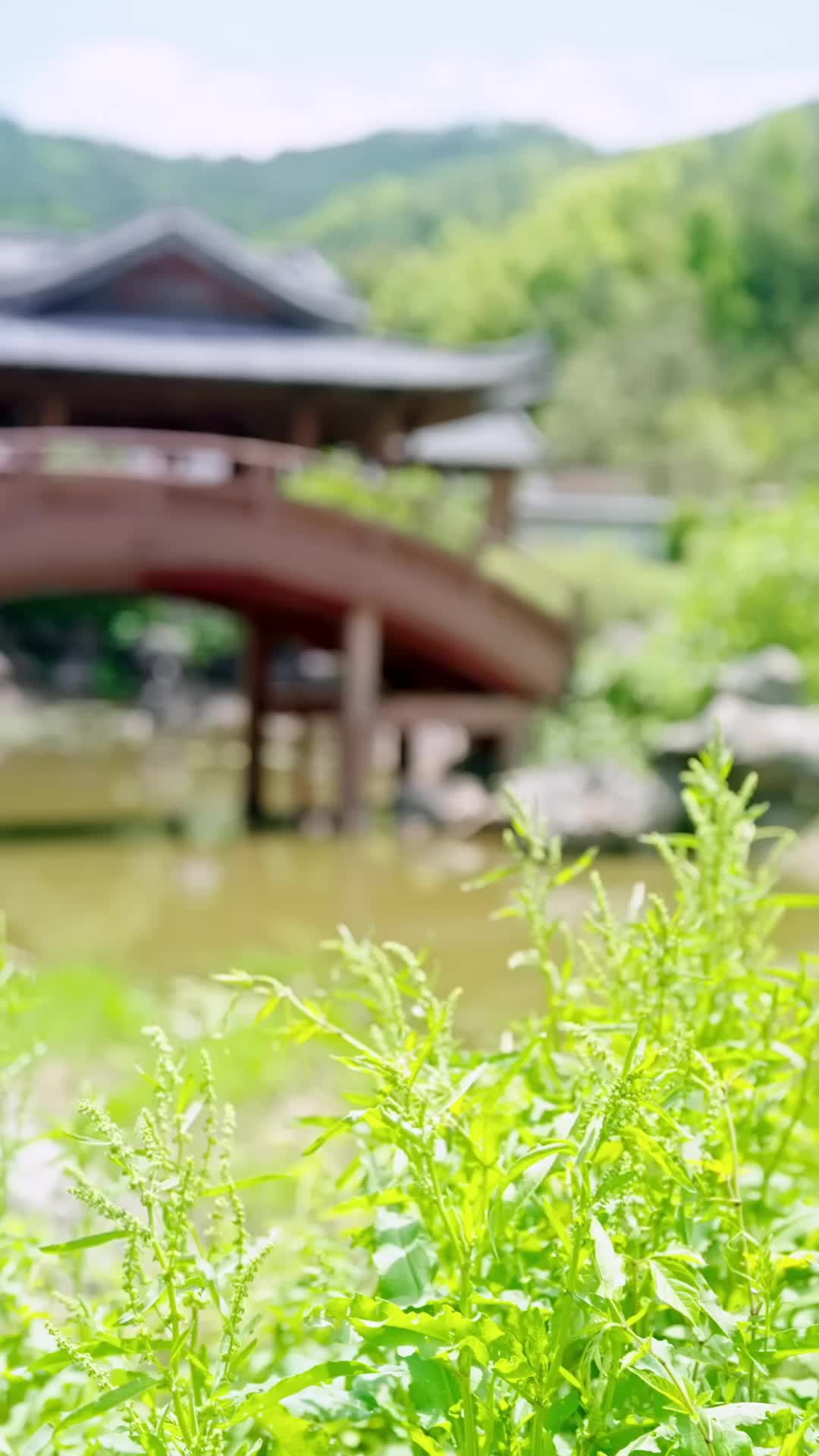 Ep 29