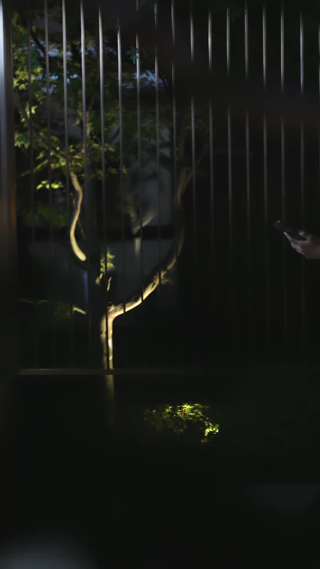 老婆的黑月光 第2集