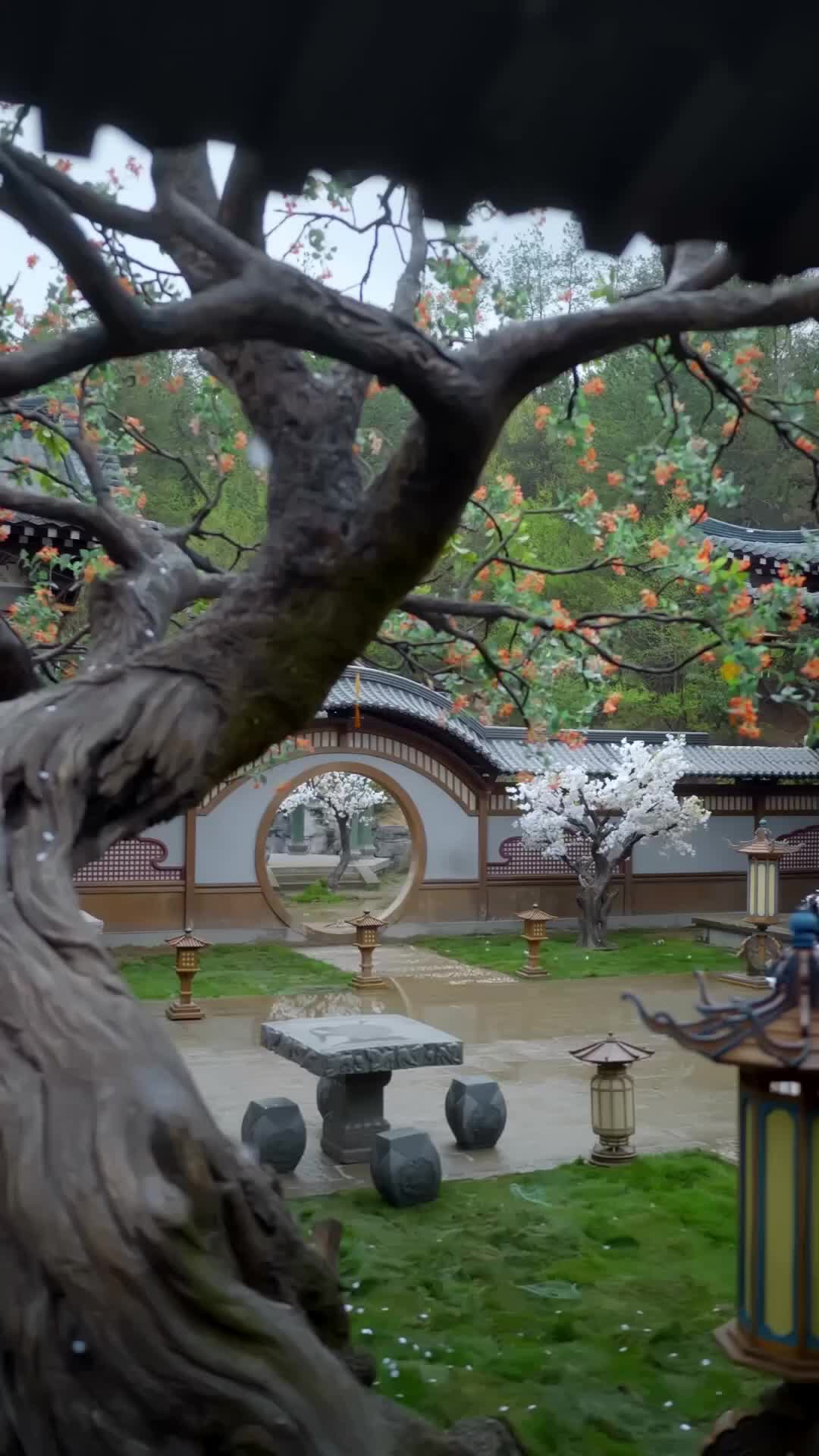 Ep 7