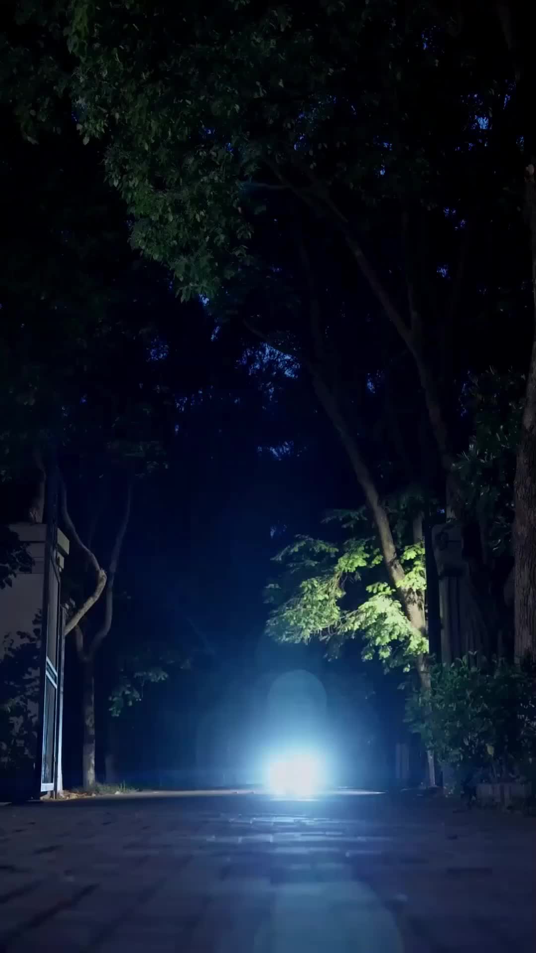 Ep 12