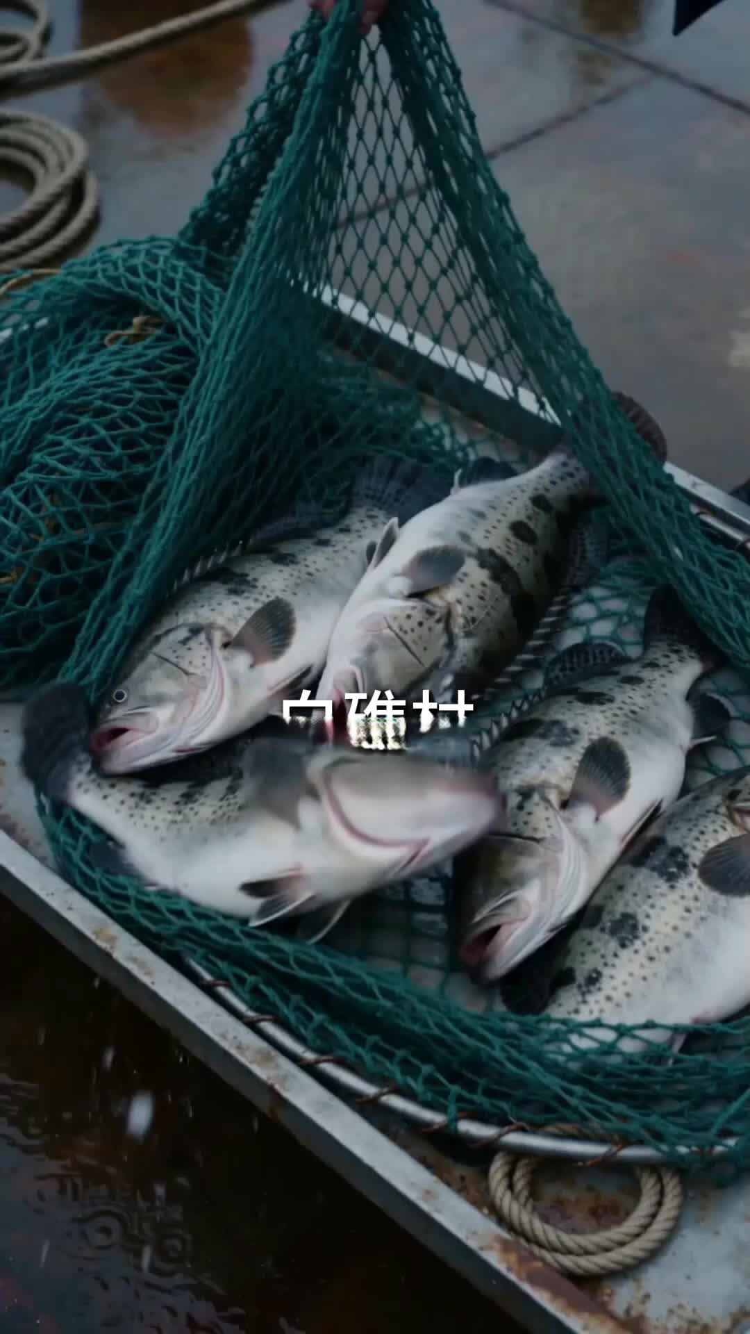 Ep 1