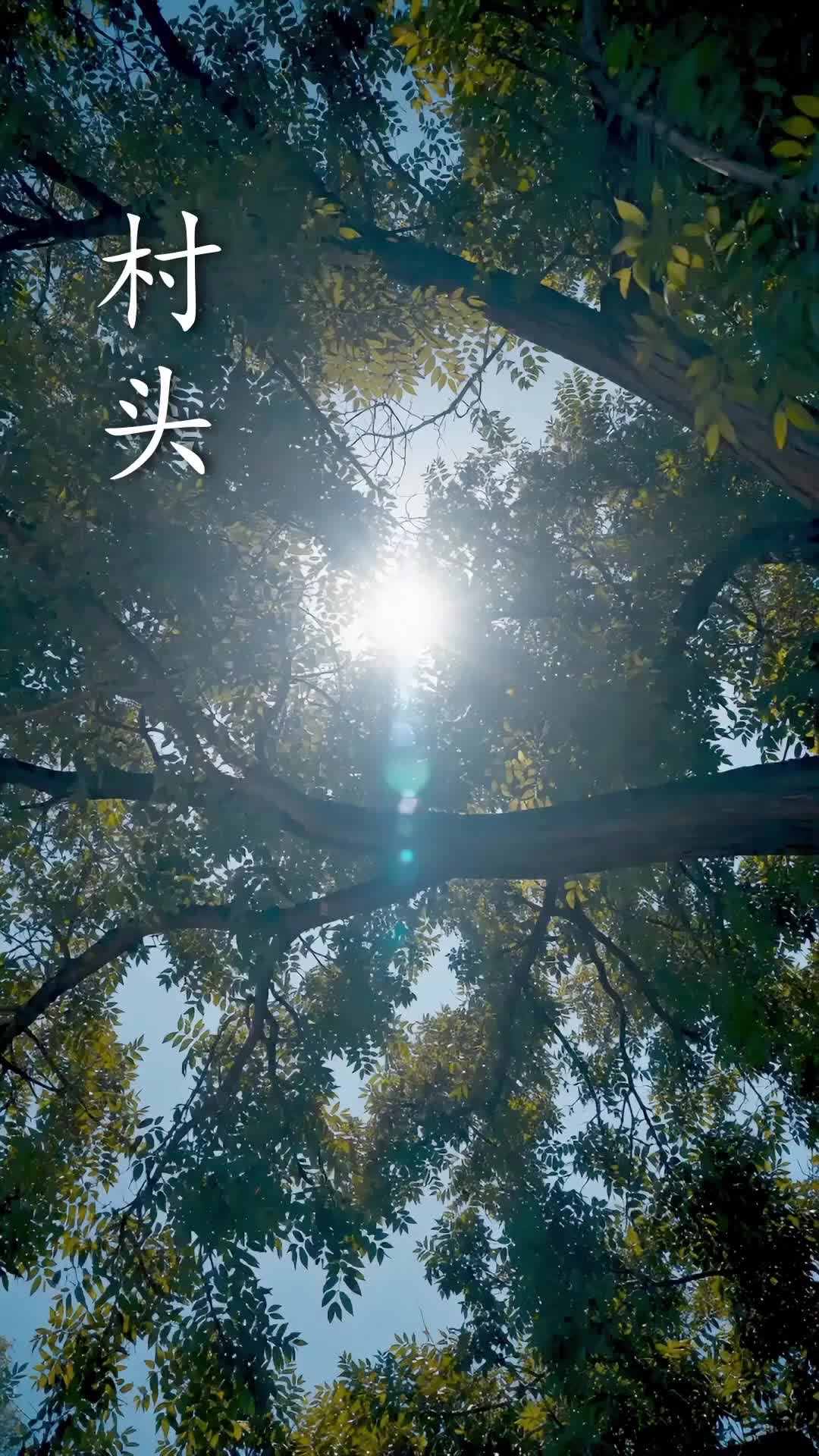 He Went Home and Changed Everything Episode 1