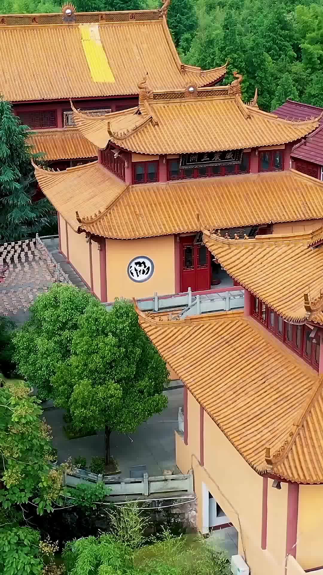 Ep 35