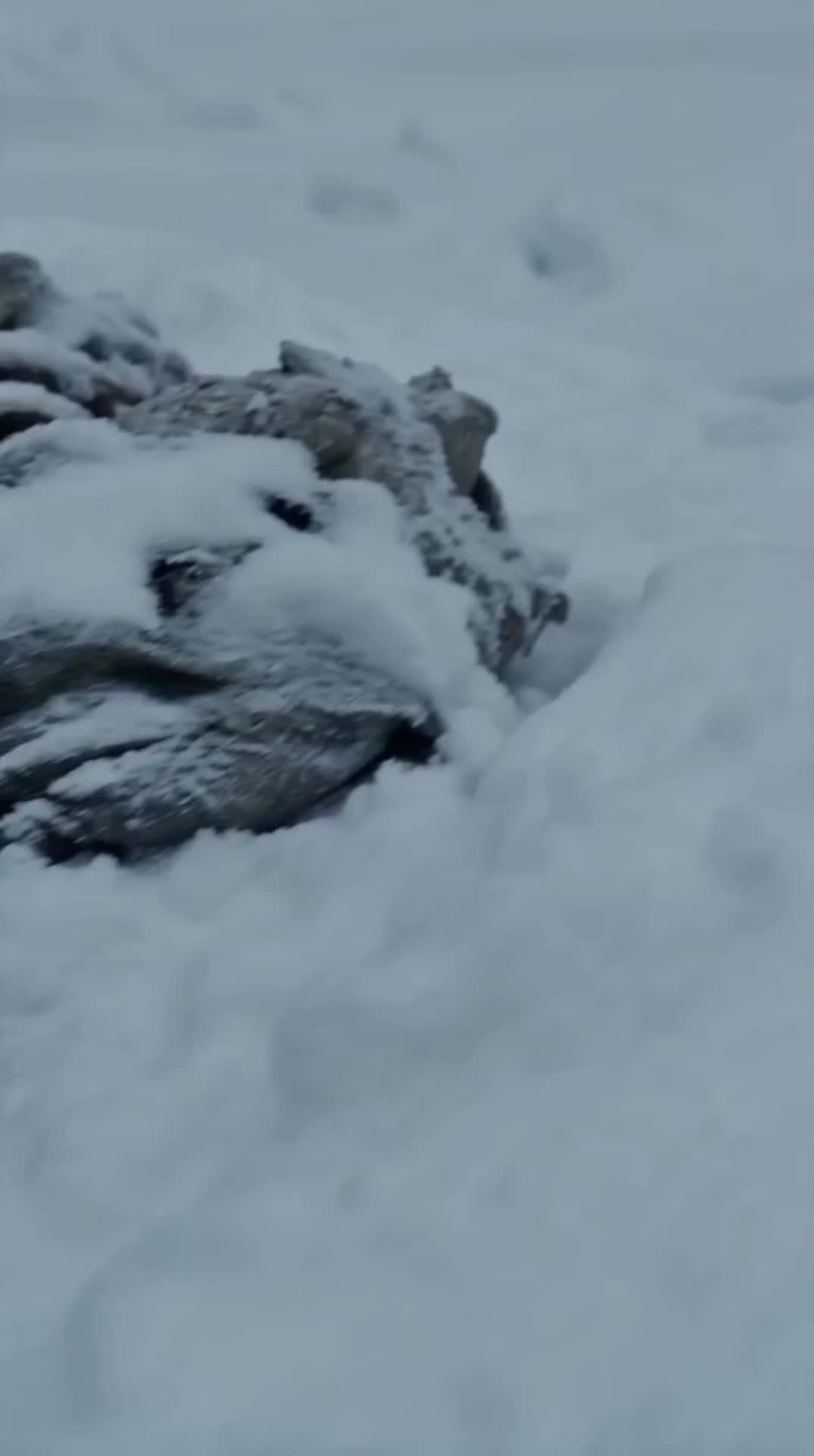 Fortaleza de Gelo: O Último Refúgio 1Episódio