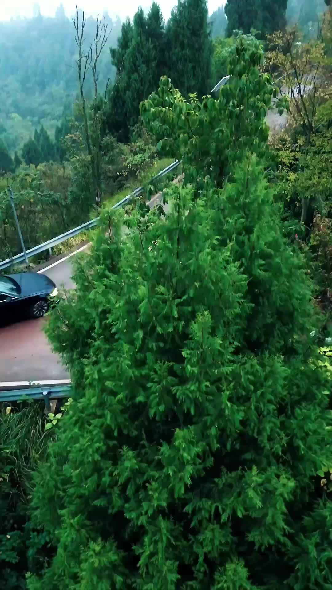 Ep 1